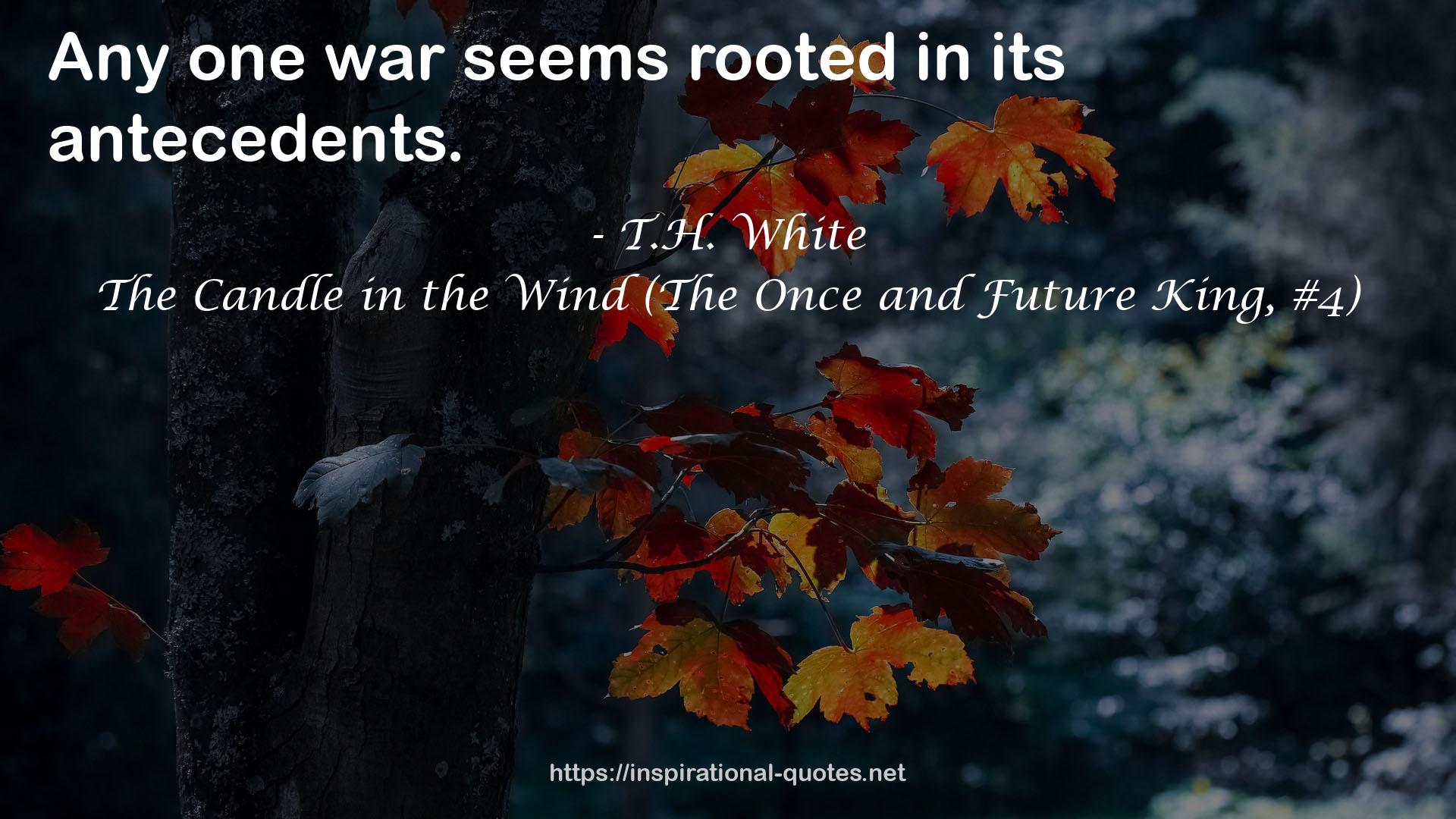The Candle in the Wind (The Once and Future King, #4) QUOTES