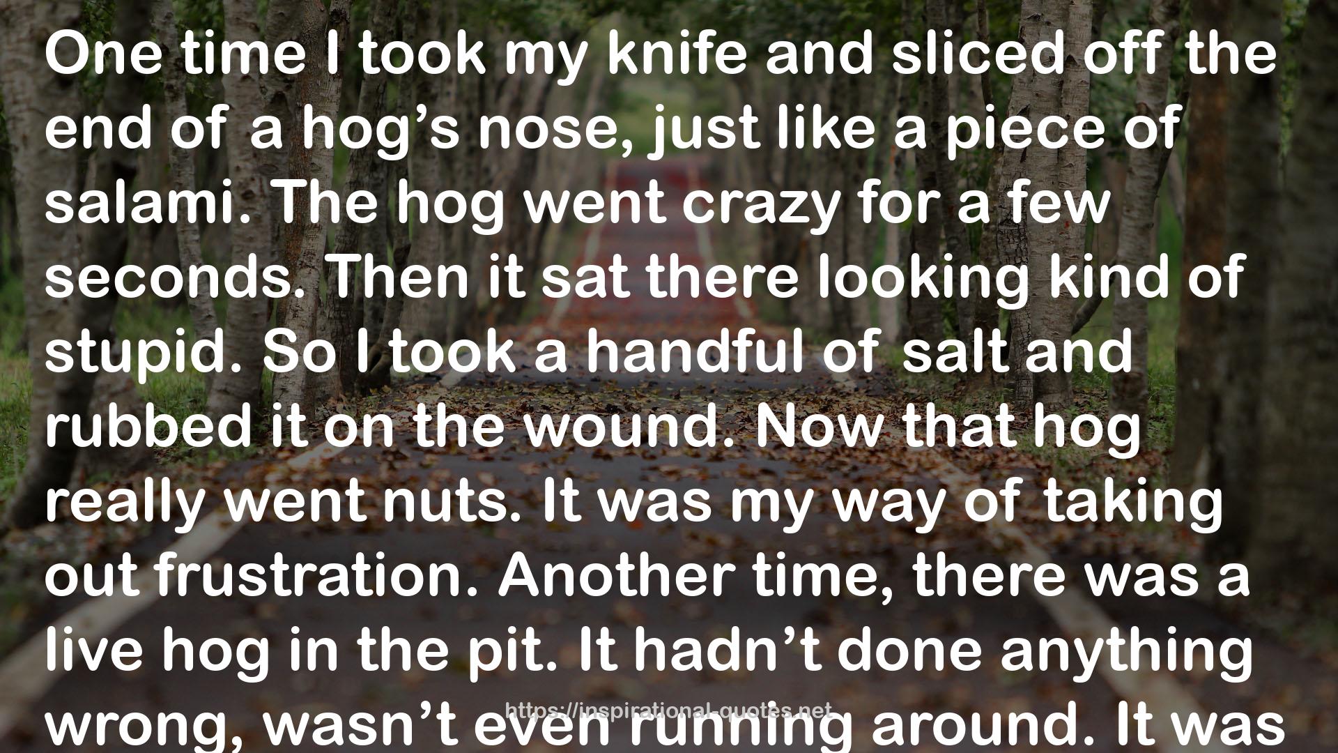 Slaughterhouse: The Shocking Story of Greed, Neglect, And Inhumane Treatment Inside the U.S. Meat Industry QUOTES