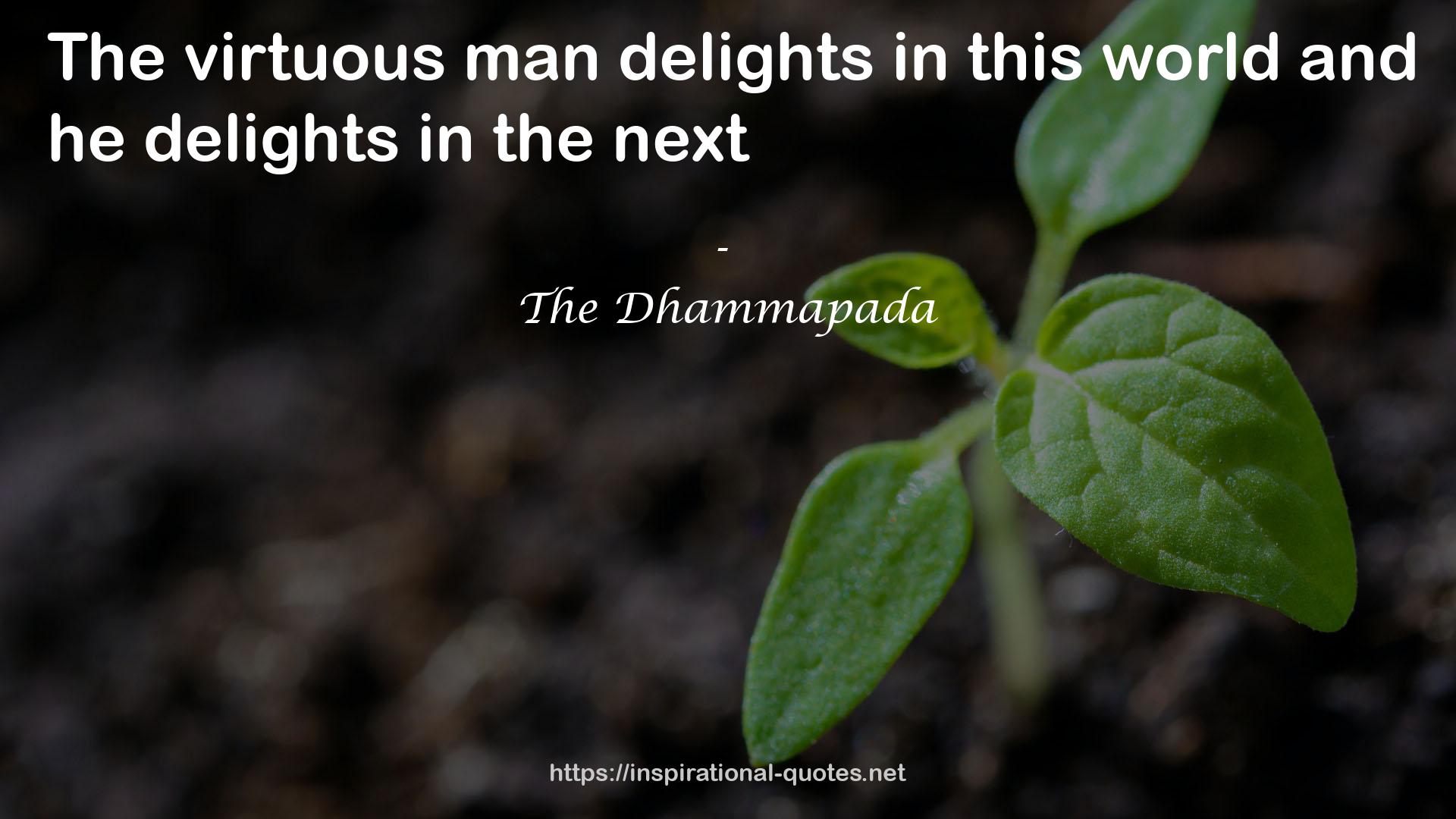delights  QUOTES