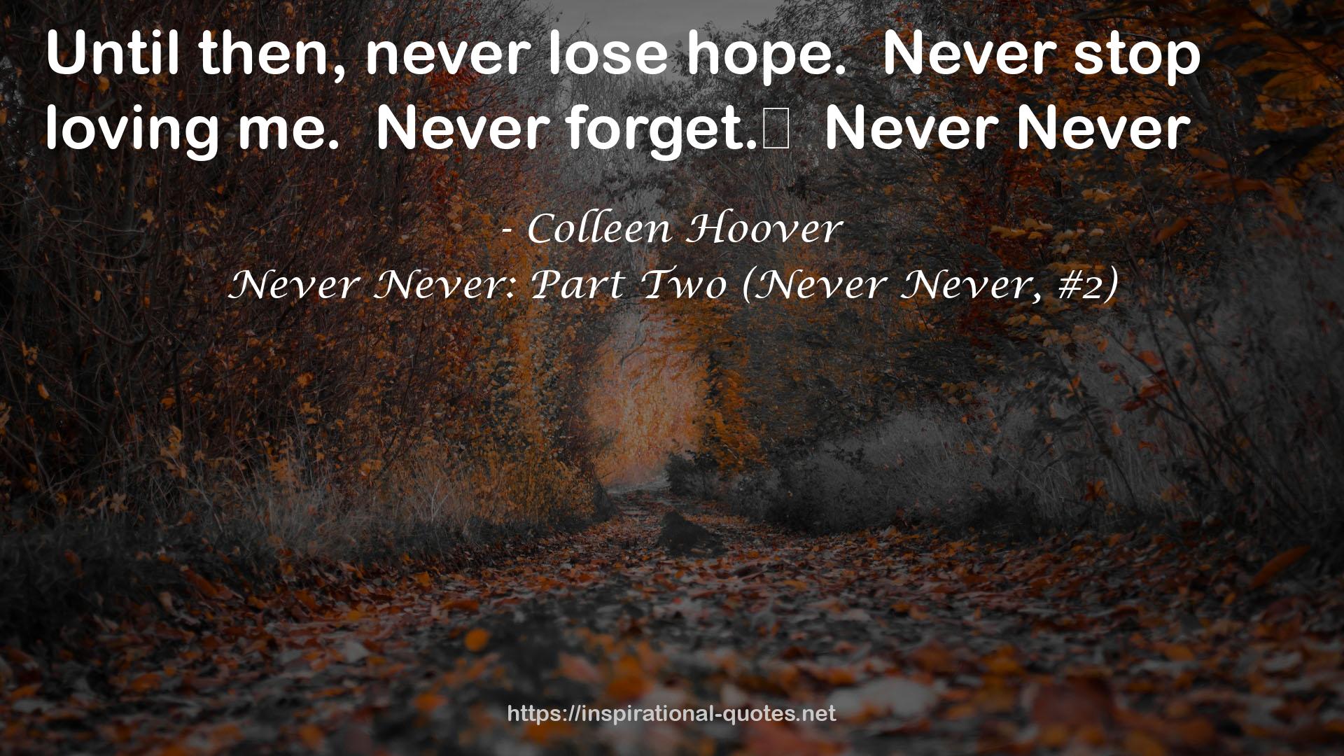 Never Never: Part Two (Never Never, #2) QUOTES