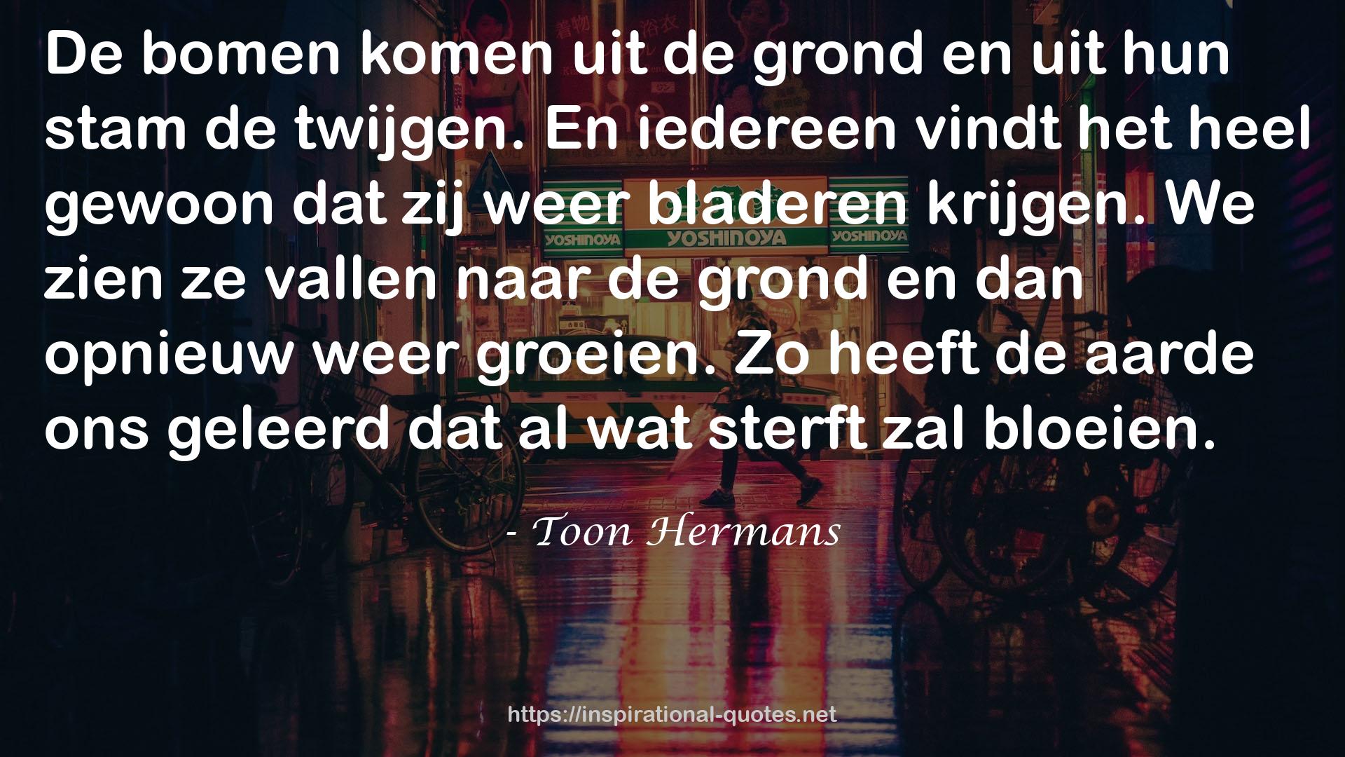 Toon Hermans QUOTES