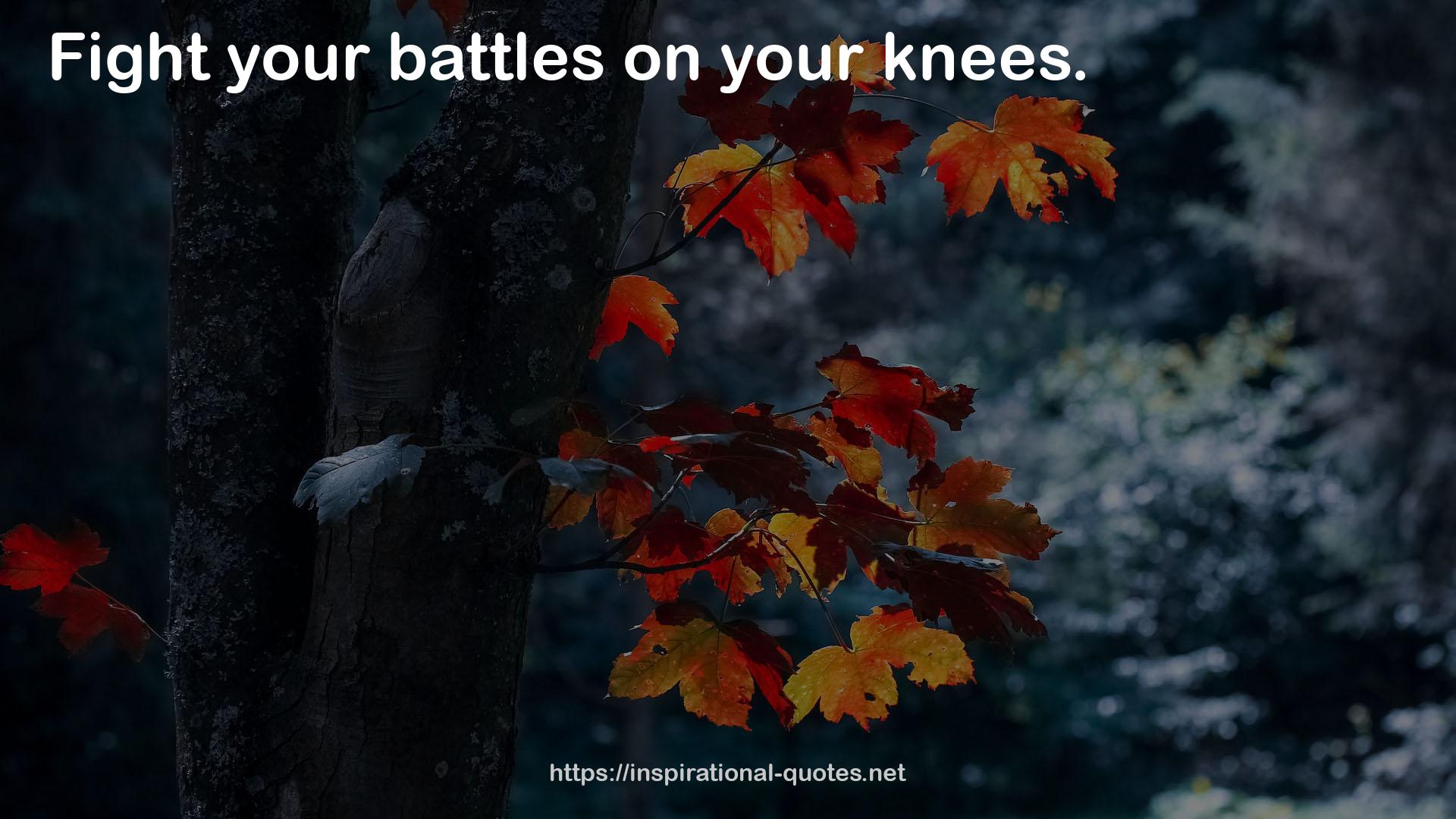 your battles  QUOTES