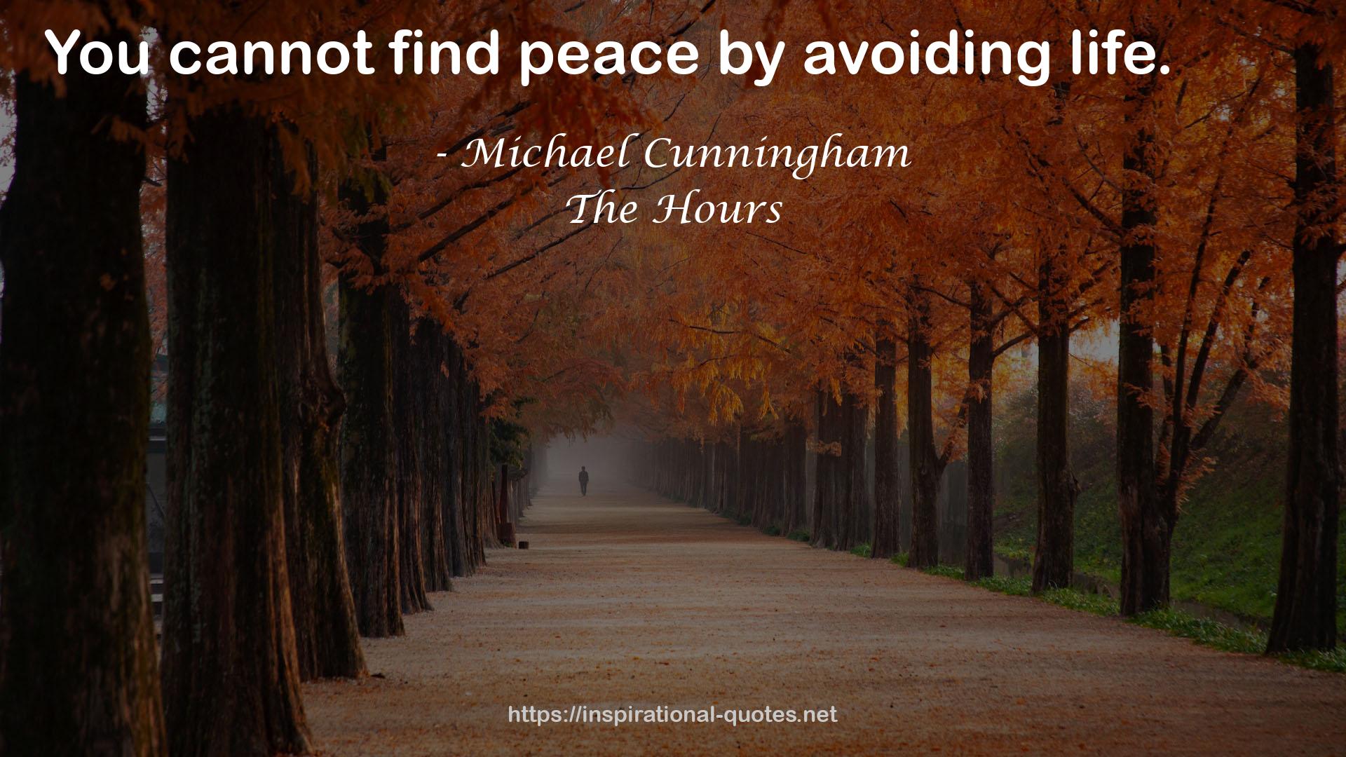 Michael Cunningham QUOTES