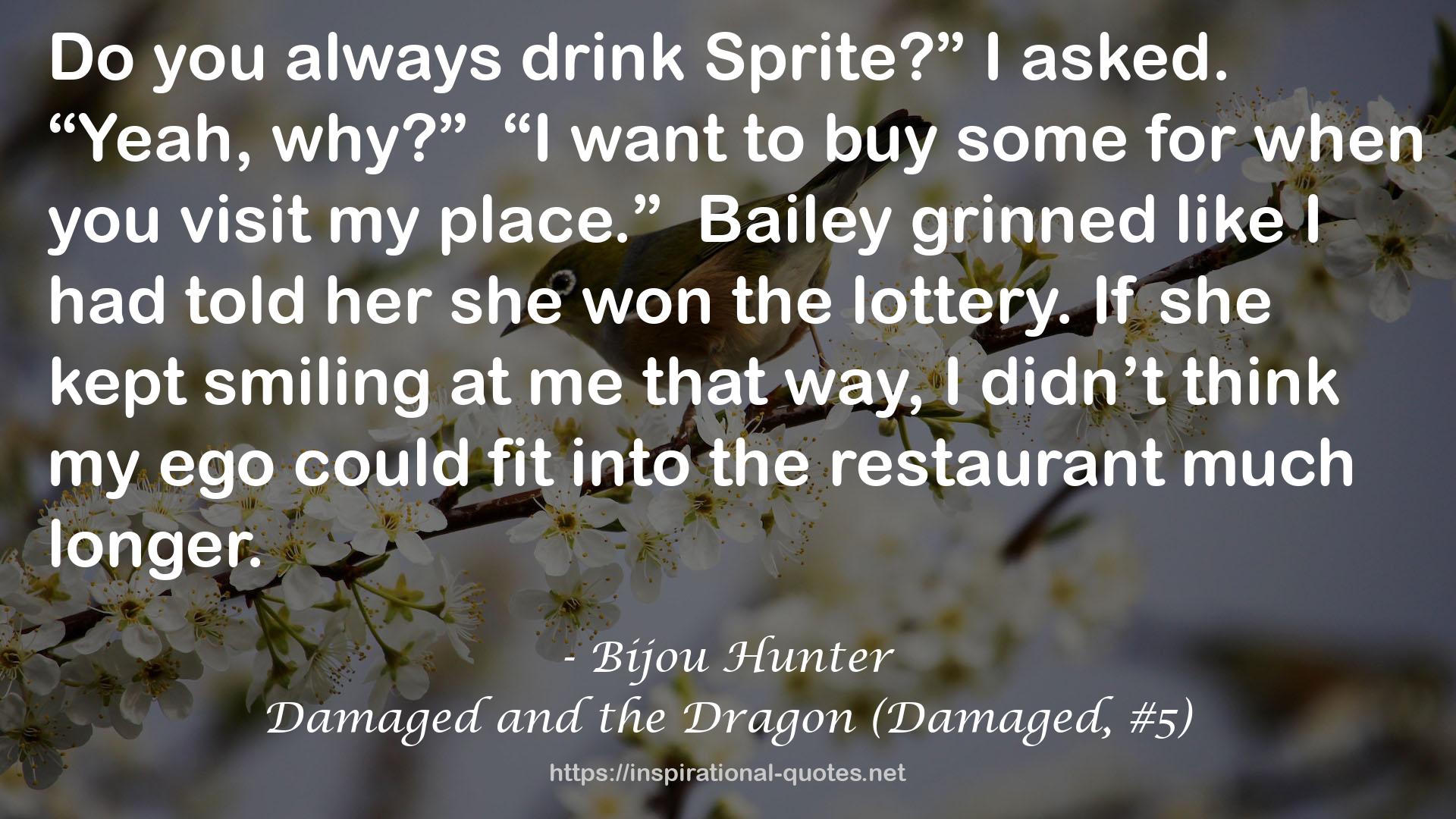 Damaged and the Dragon (Damaged, #5) QUOTES
