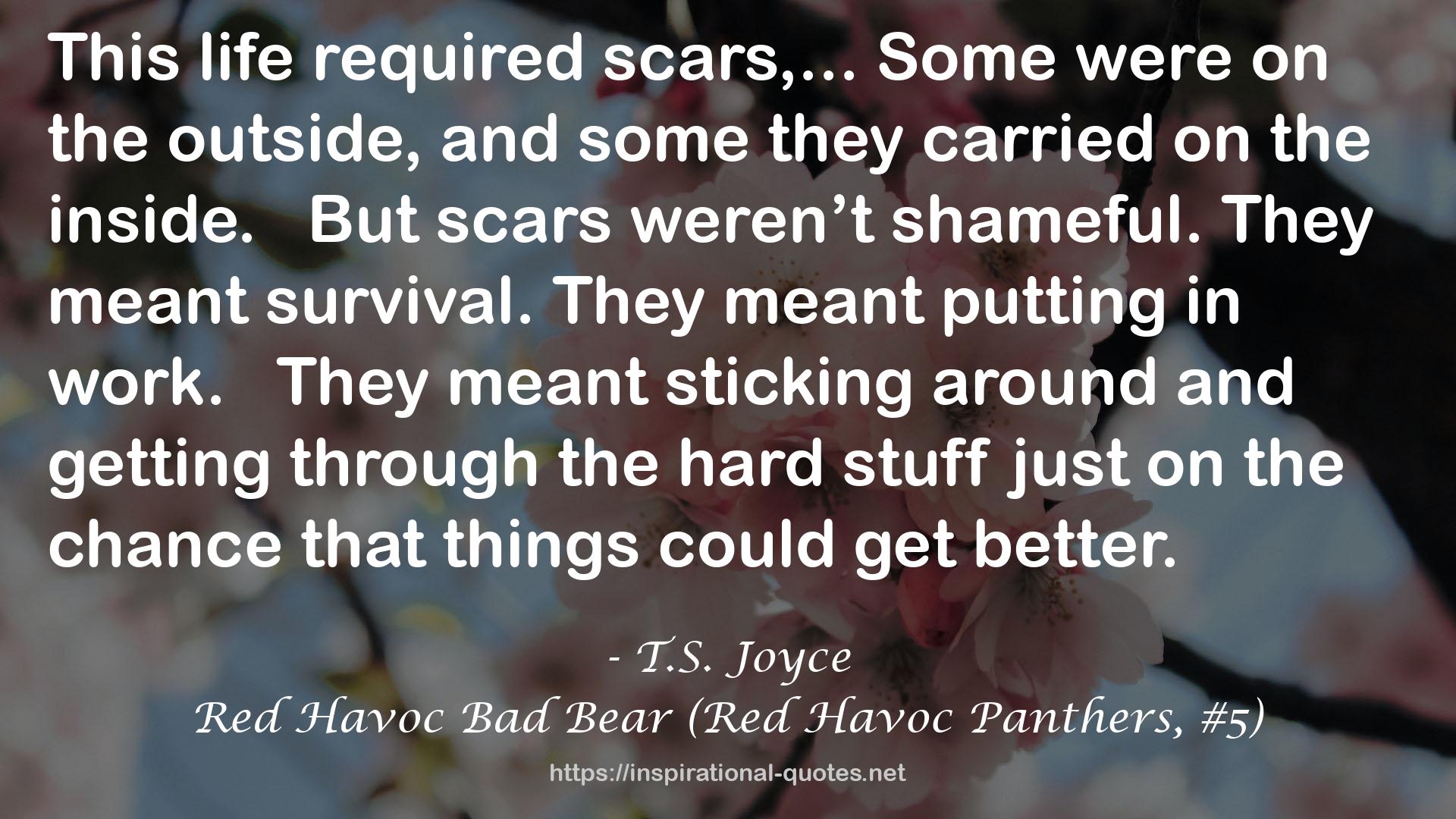 Red Havoc Bad Bear (Red Havoc Panthers, #5) QUOTES