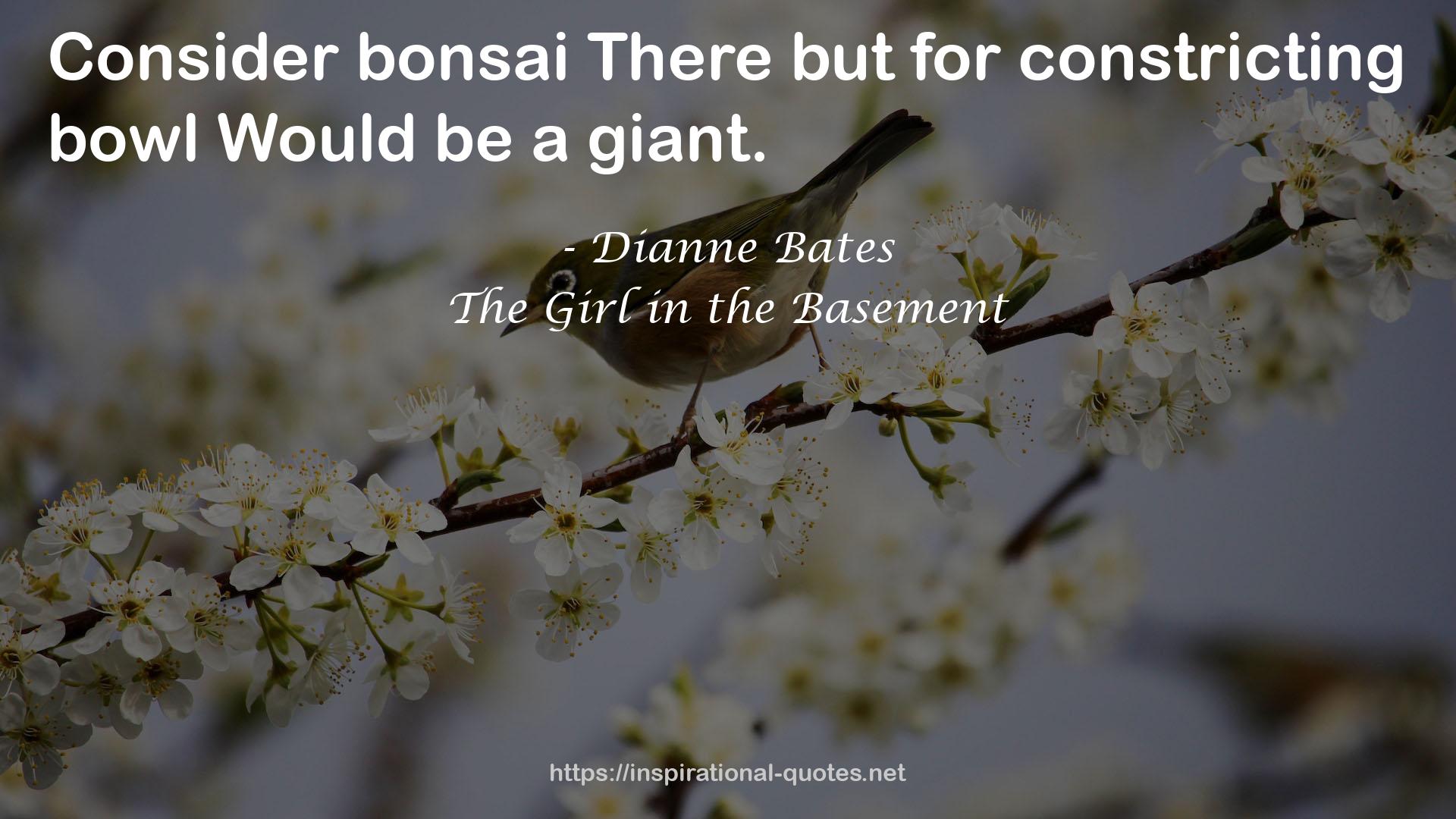 bonsaiThere  QUOTES