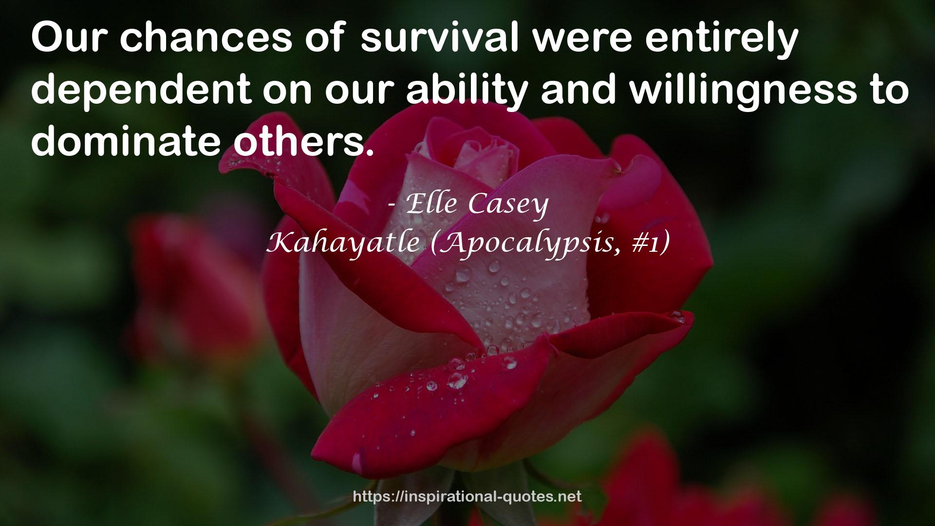 Elle Casey QUOTES