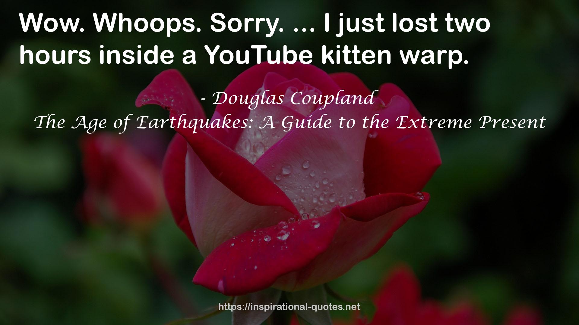 a YouTube kitten  QUOTES