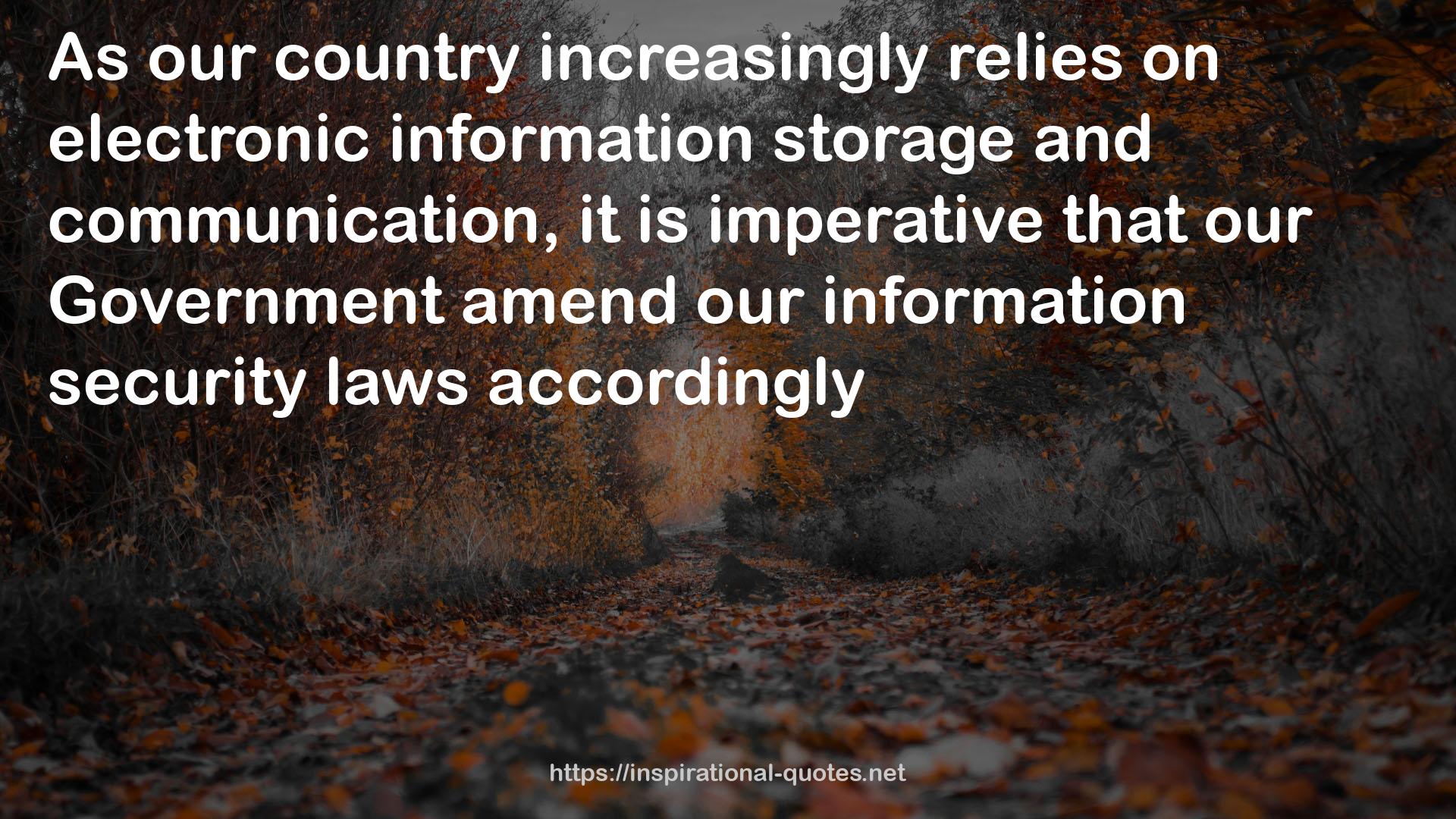 electronic information storage  QUOTES