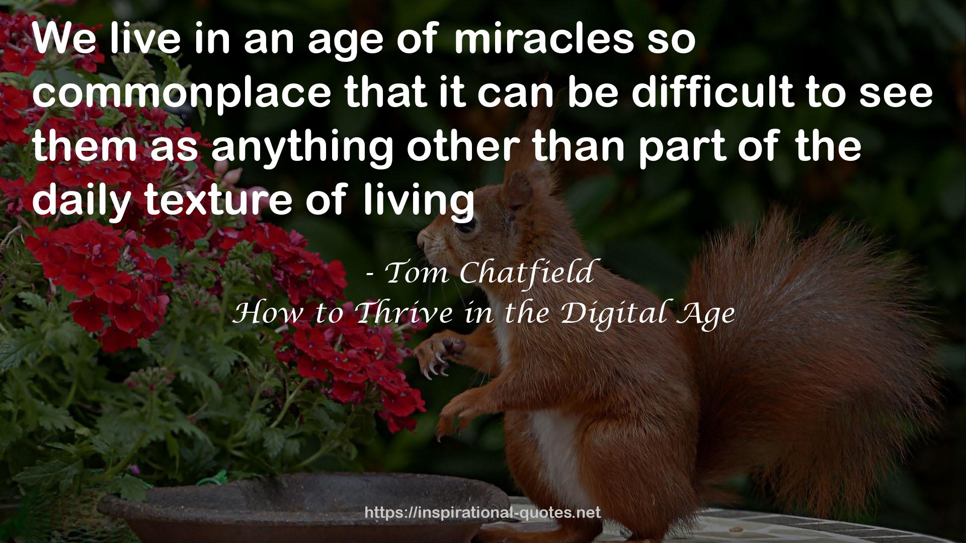 Tom Chatfield QUOTES