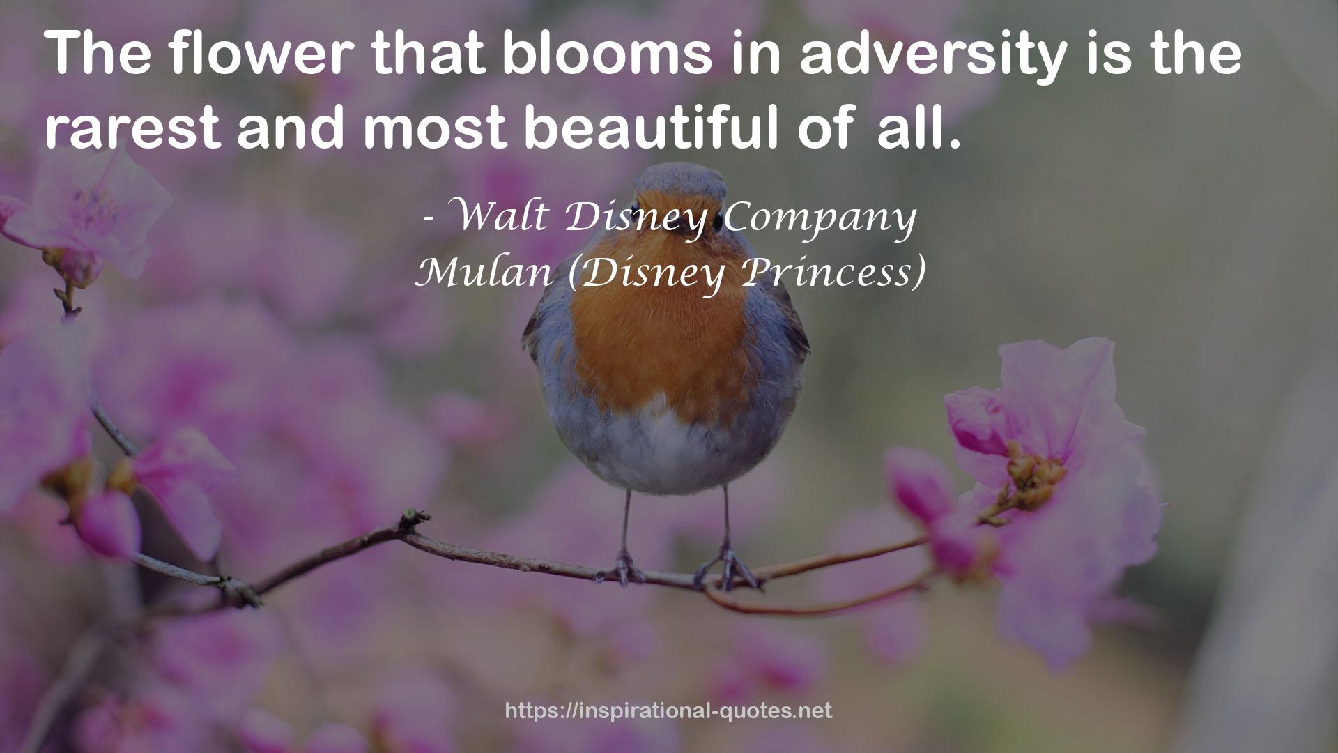 Mulan (Disney Princess) QUOTES