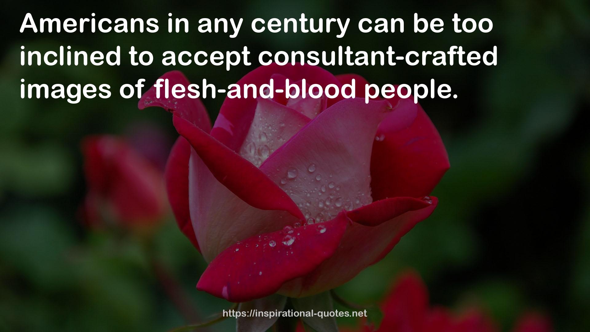 consultant-crafted images  QUOTES