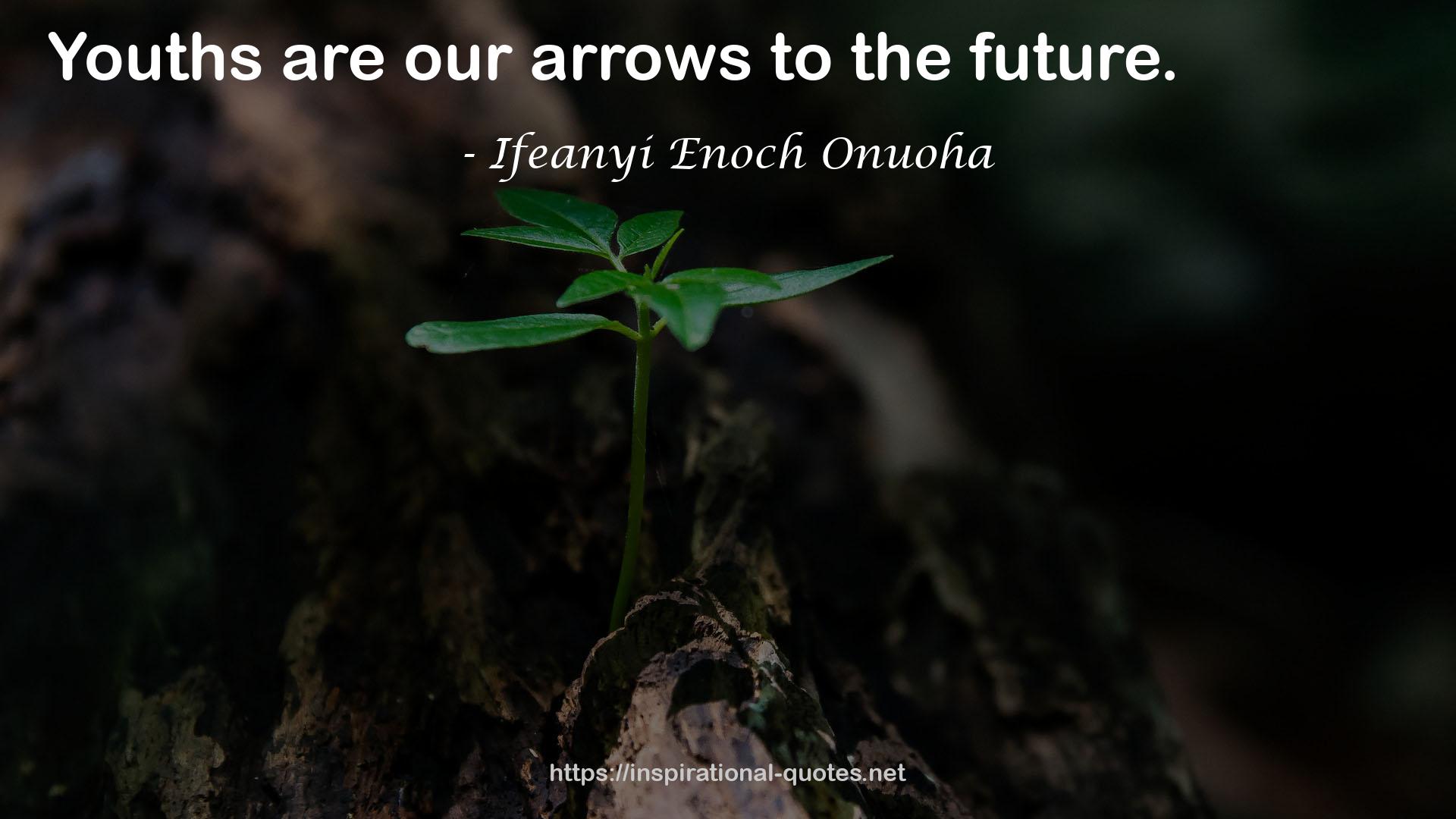 our arrows  QUOTES