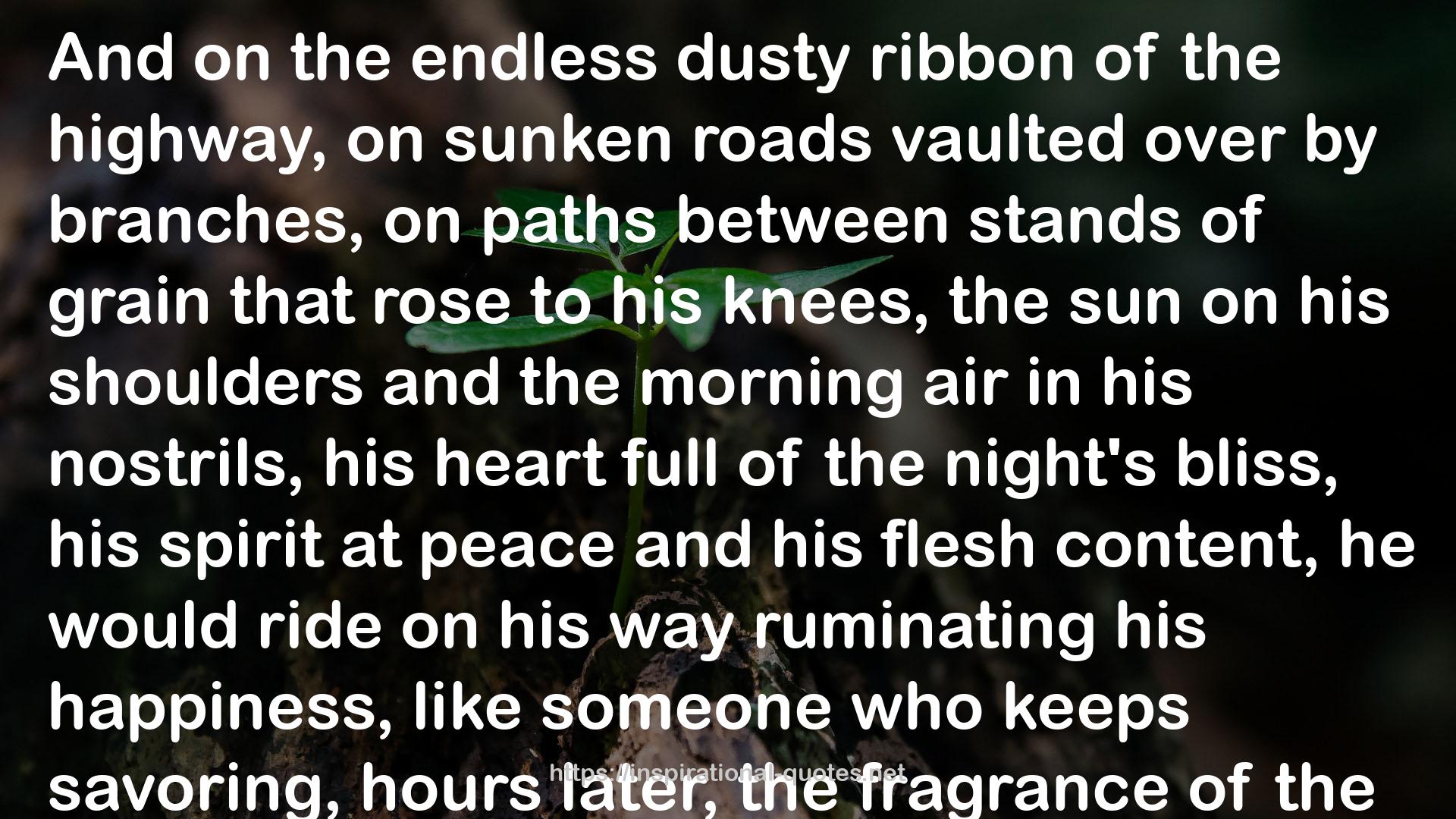 the endless dusty ribbon  QUOTES