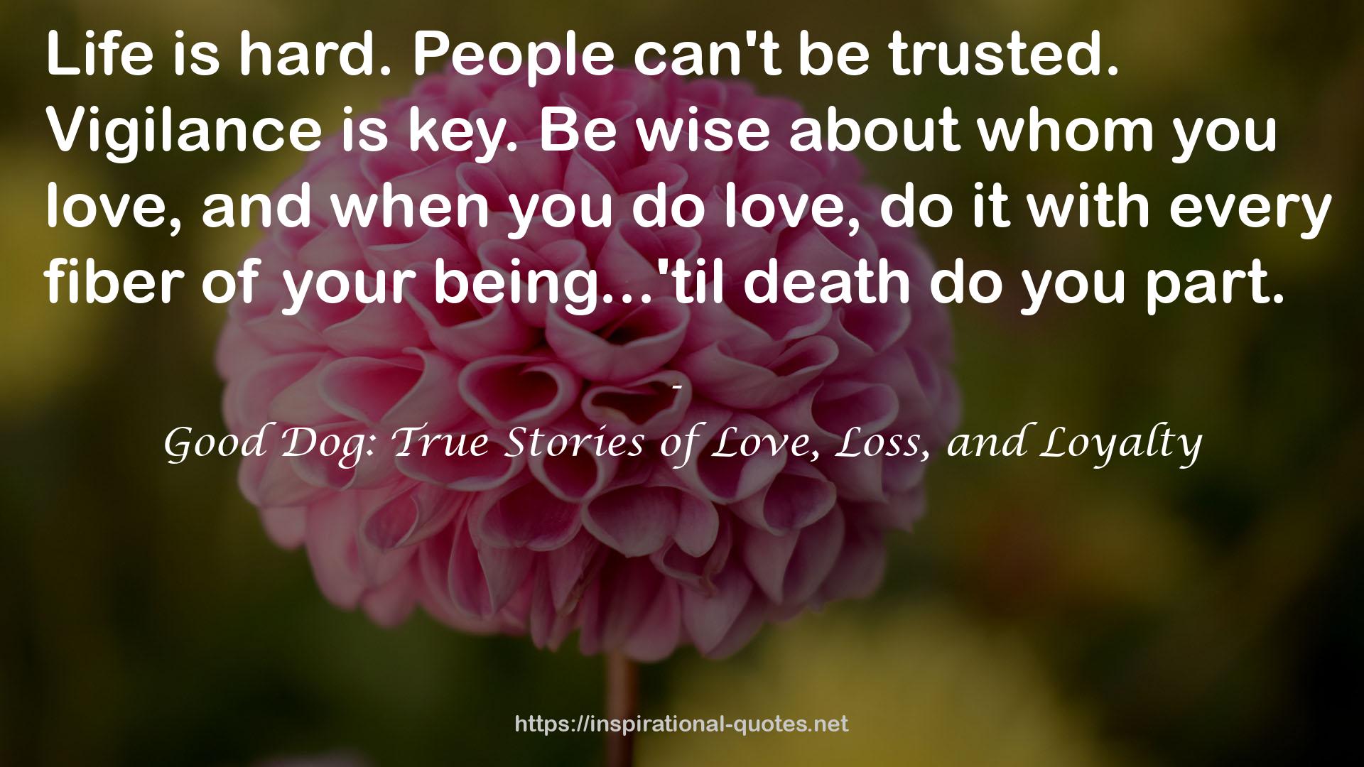 Good Dog: True Stories of Love, Loss, and Loyalty QUOTES