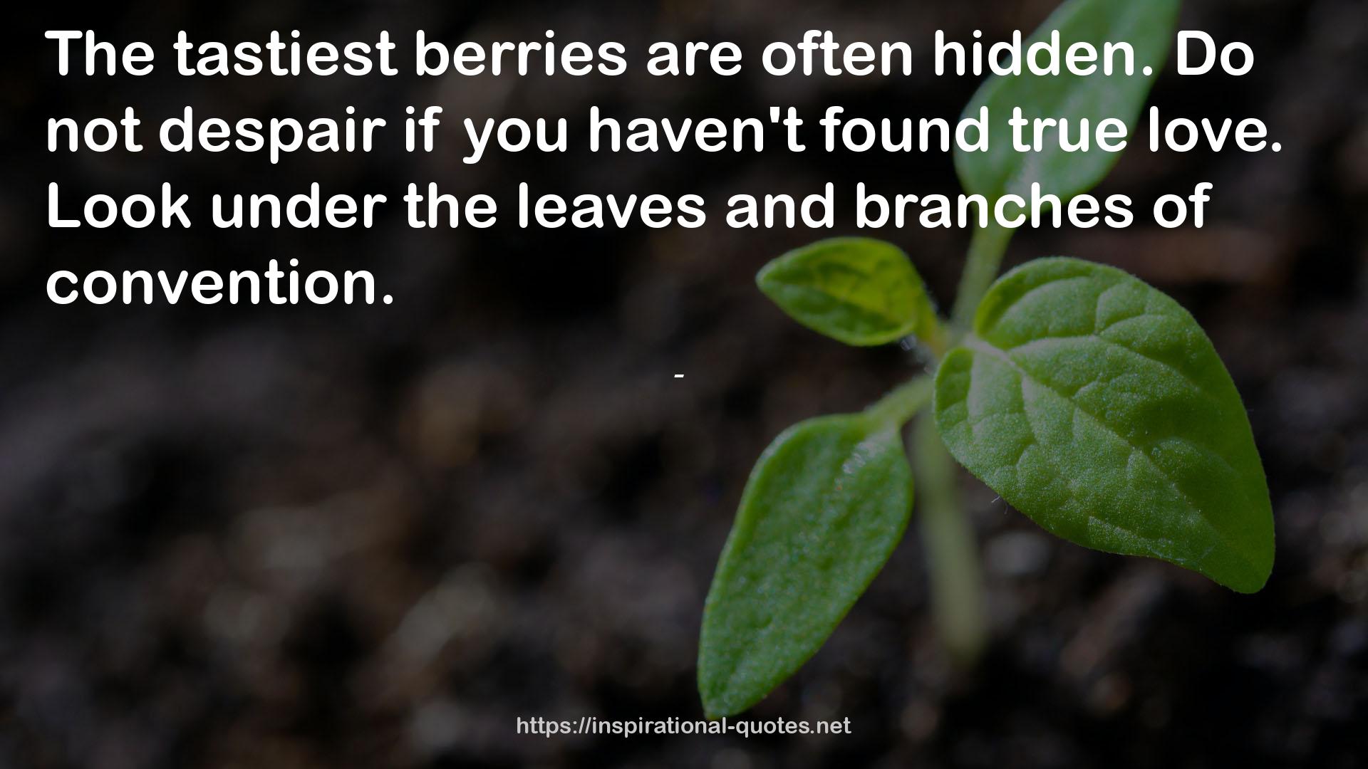 berries  QUOTES