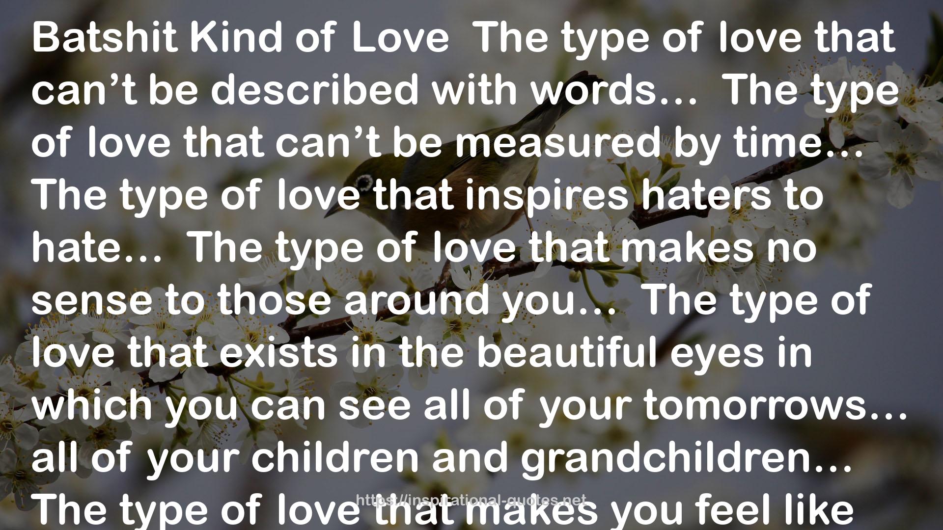 the beautiful eyes  QUOTES