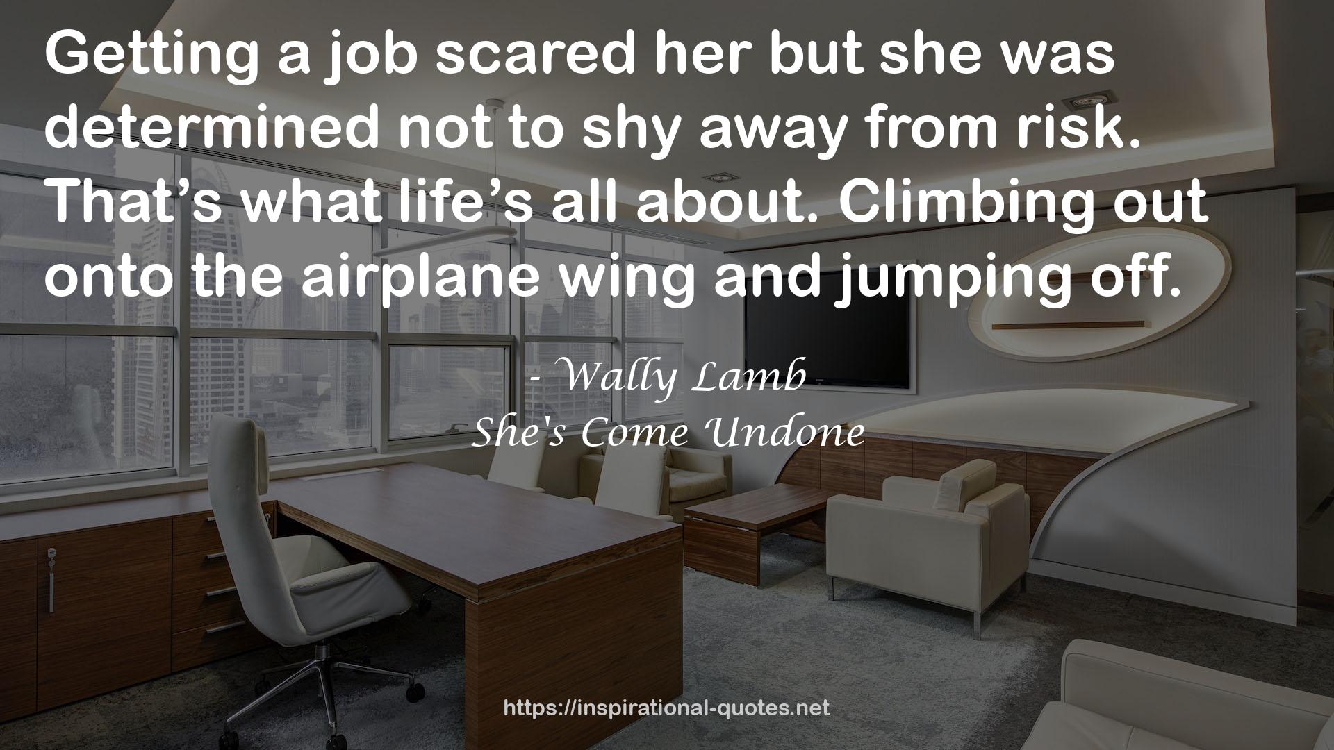 the airplane wing  QUOTES