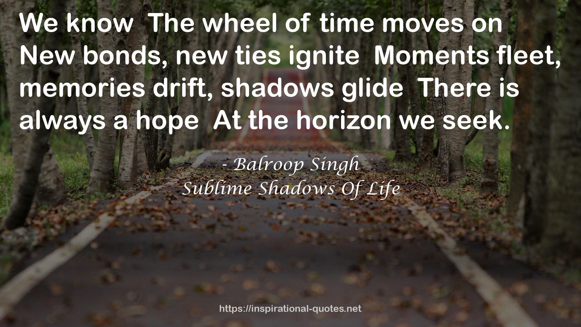 Sublime Shadows Of Life QUOTES