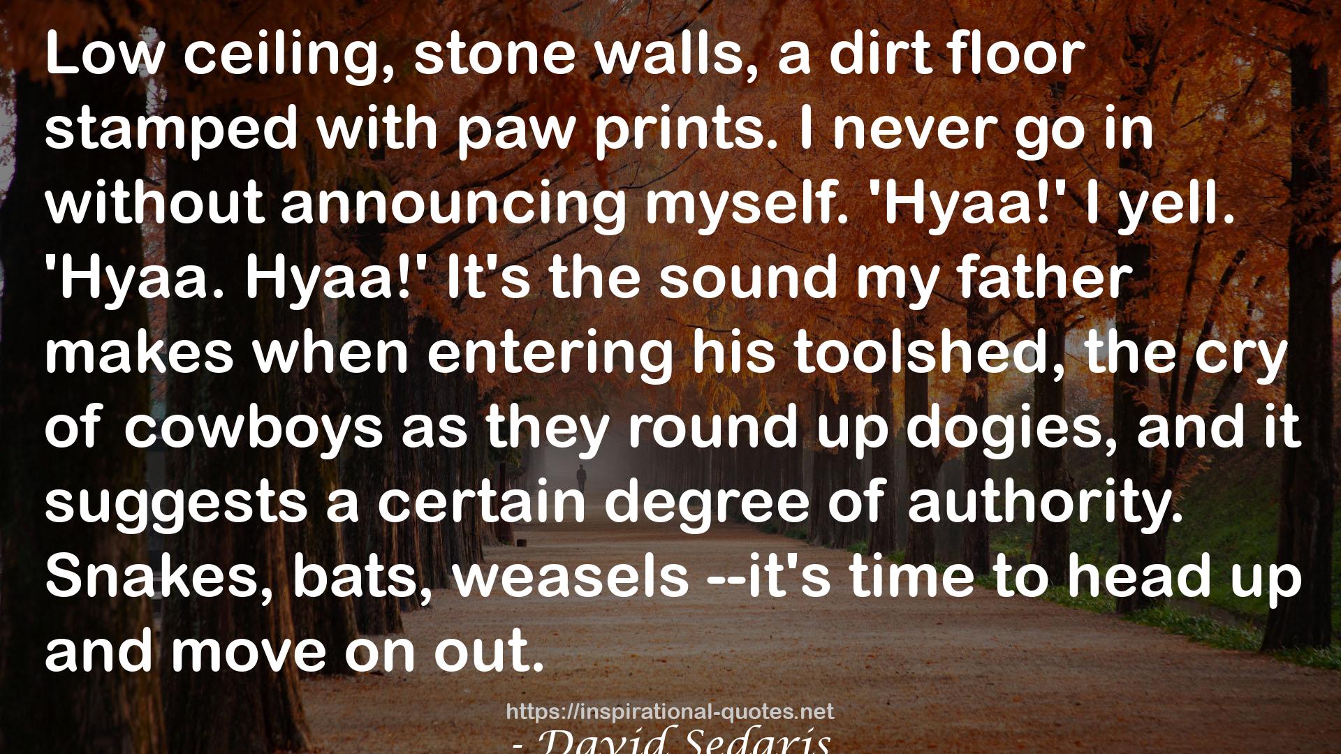 a dirt floor  QUOTES