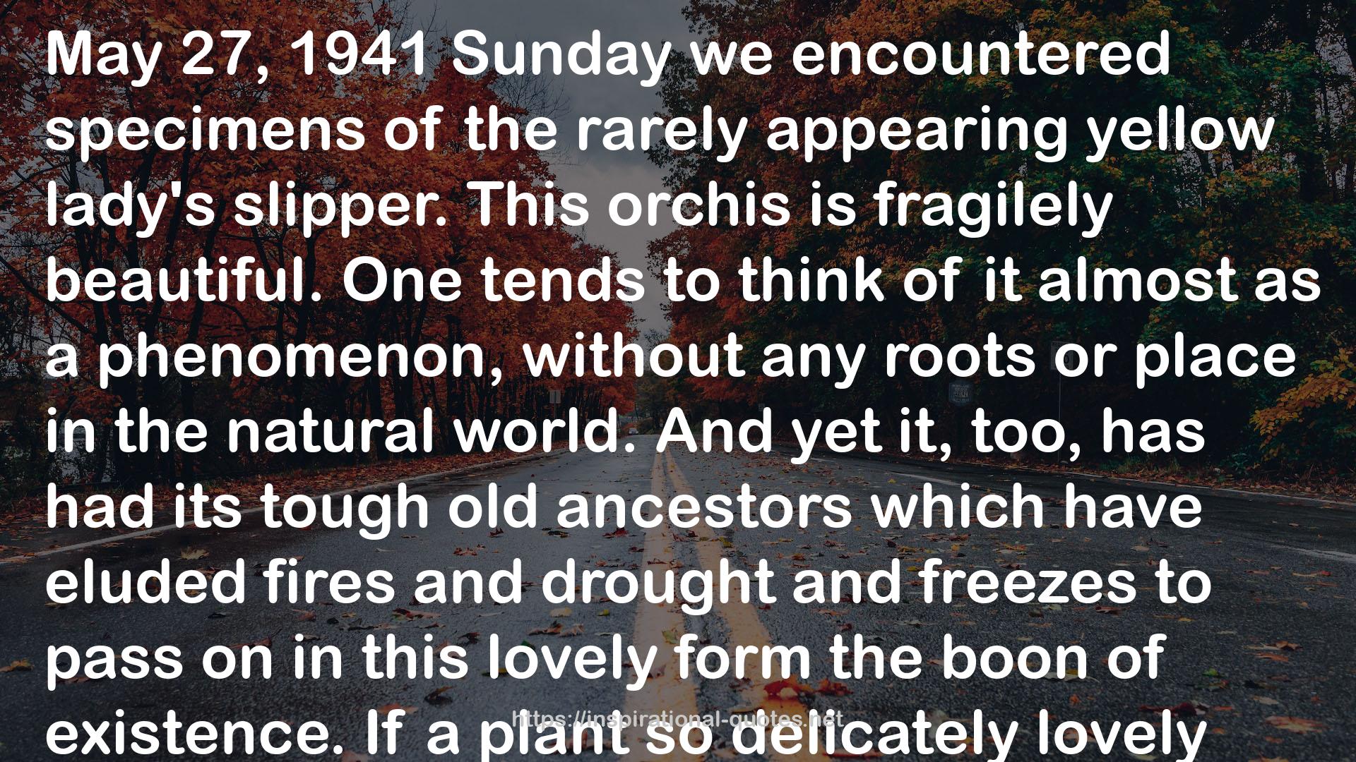 1941Sunday  QUOTES