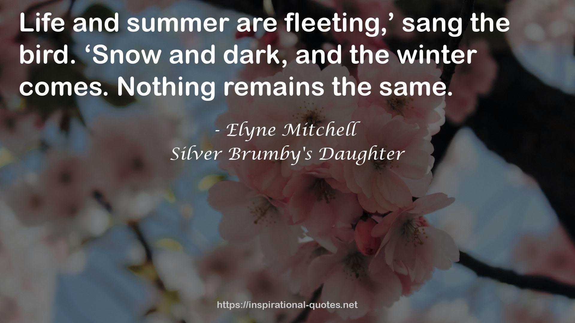 Silver Brumby's Daughter QUOTES