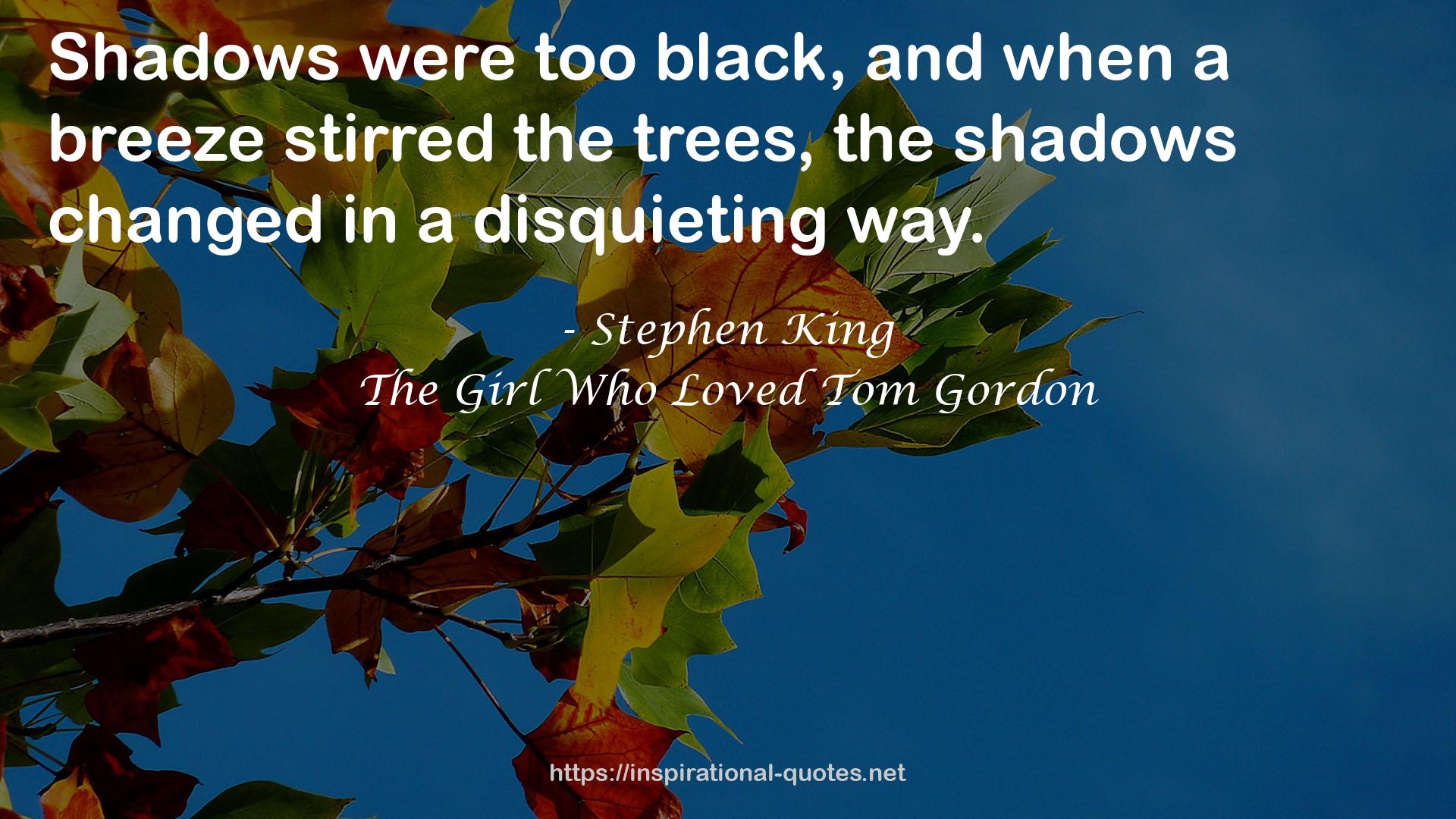 The Girl Who Loved Tom Gordon QUOTES