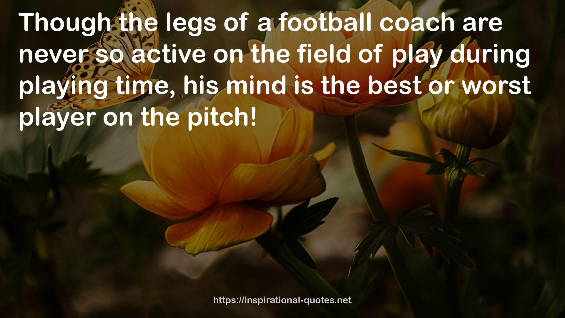 a football coach  QUOTES