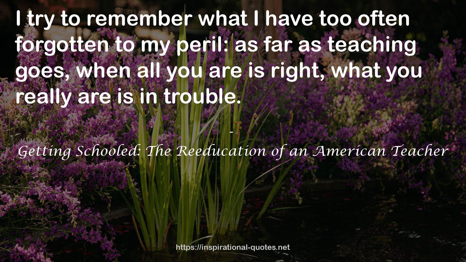 Getting Schooled: The Reeducation of an American Teacher QUOTES