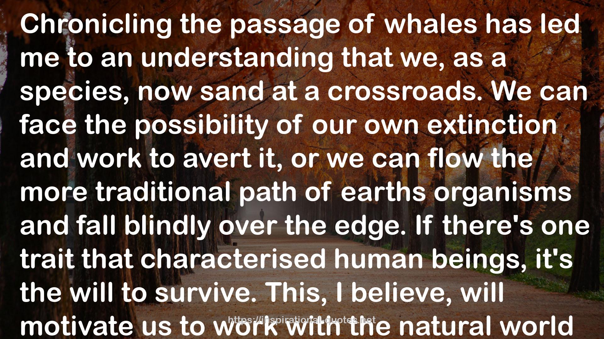 Listening to Whales: What the Orcas Have Taught Us QUOTES