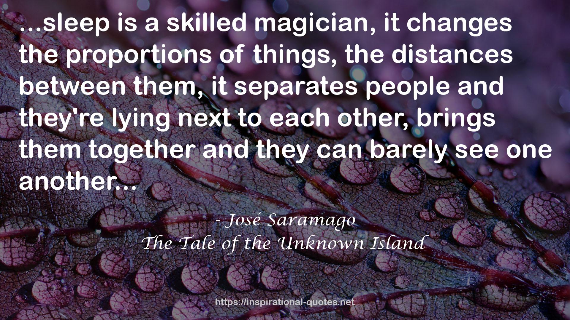 The Tale of the Unknown Island QUOTES
