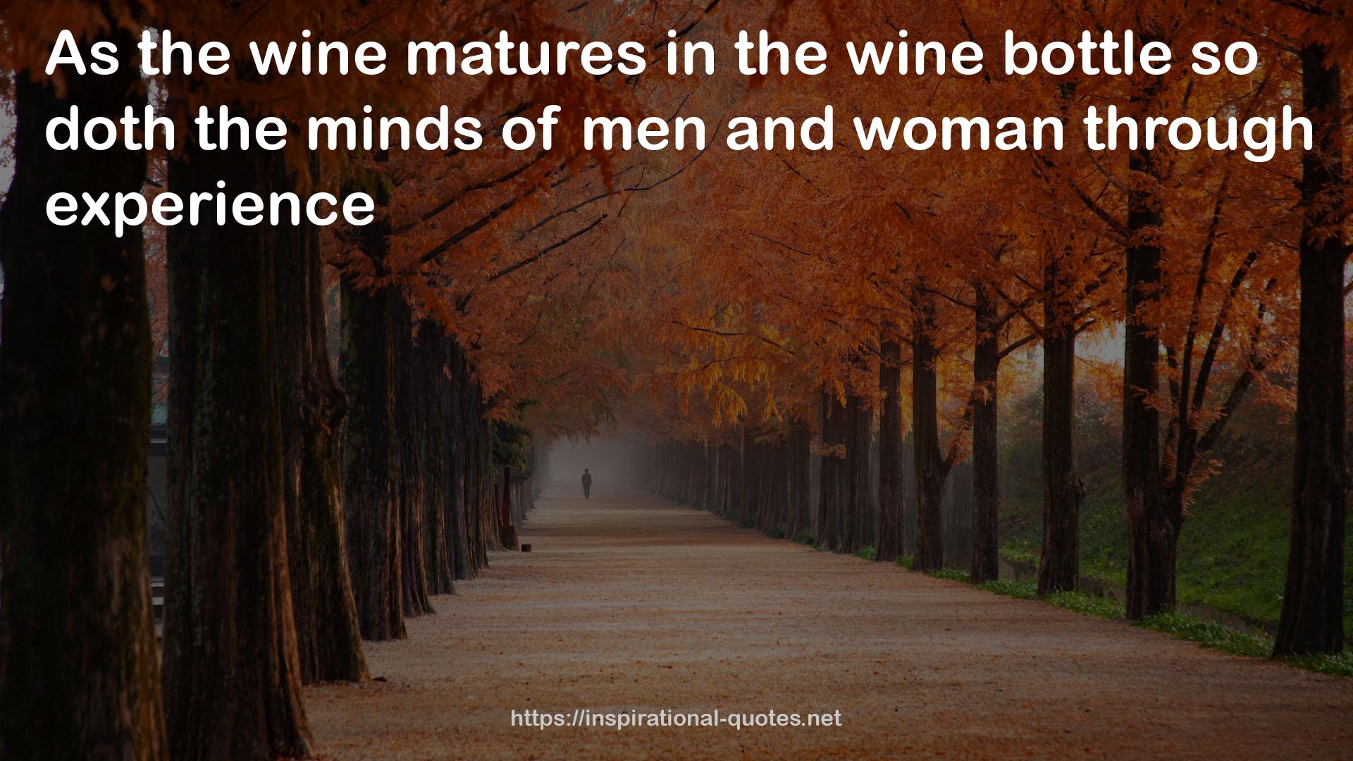 the wine bottle  QUOTES