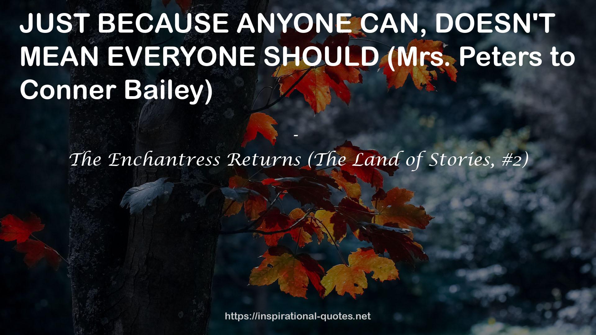 The Enchantress Returns (The Land of Stories, #2) QUOTES