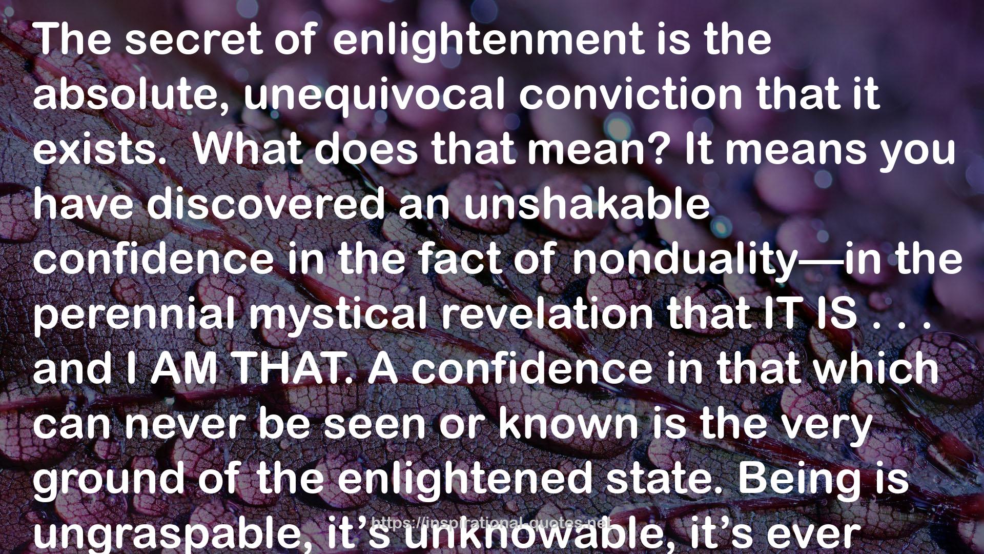 an unshakable confidence  QUOTES