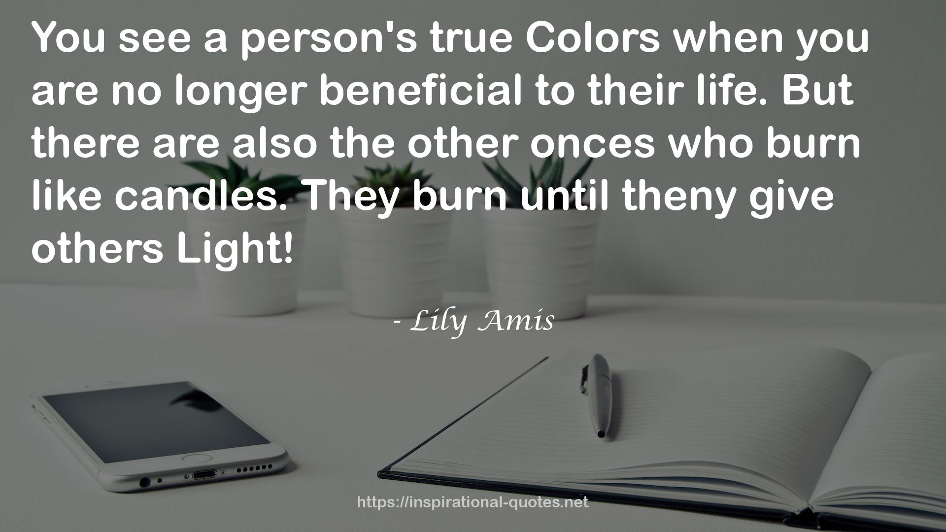 Lily Amis QUOTES