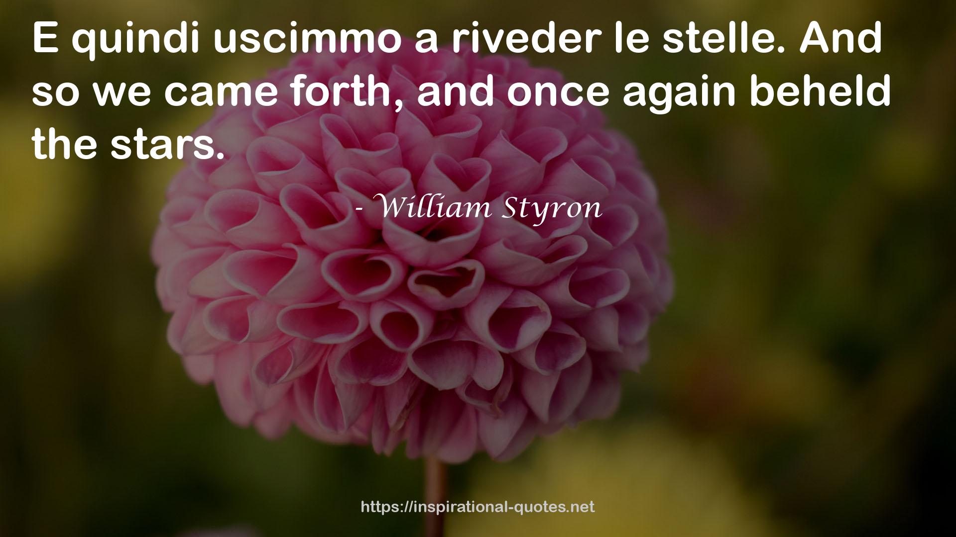 William Styron QUOTES