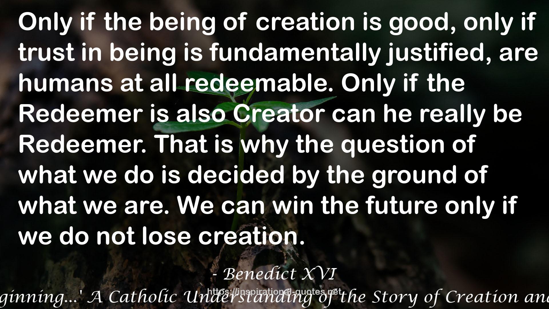 'In the Beginning...' A Catholic Understanding of the Story of Creation and the Fall QUOTES