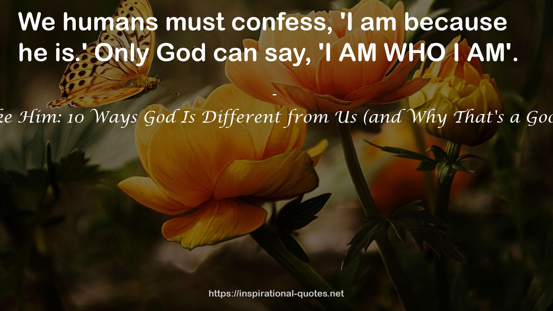 None Like Him: 10 Ways God Is Different from Us (and Why That's a Good Thing) QUOTES