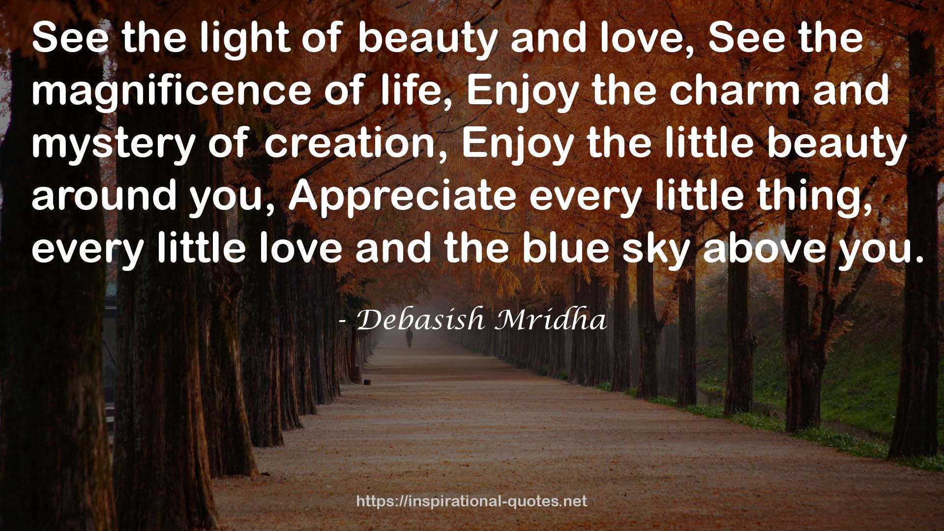 the little beauty  QUOTES