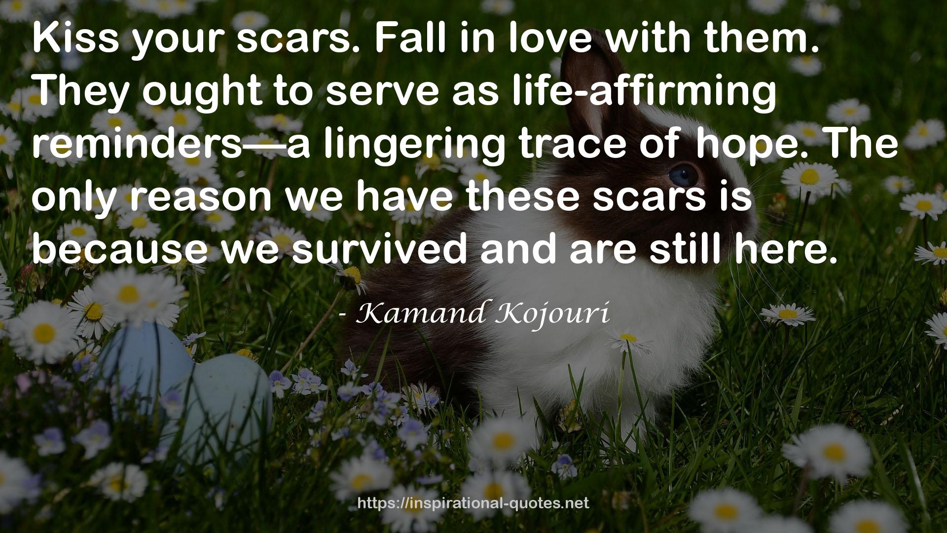 these scars  QUOTES