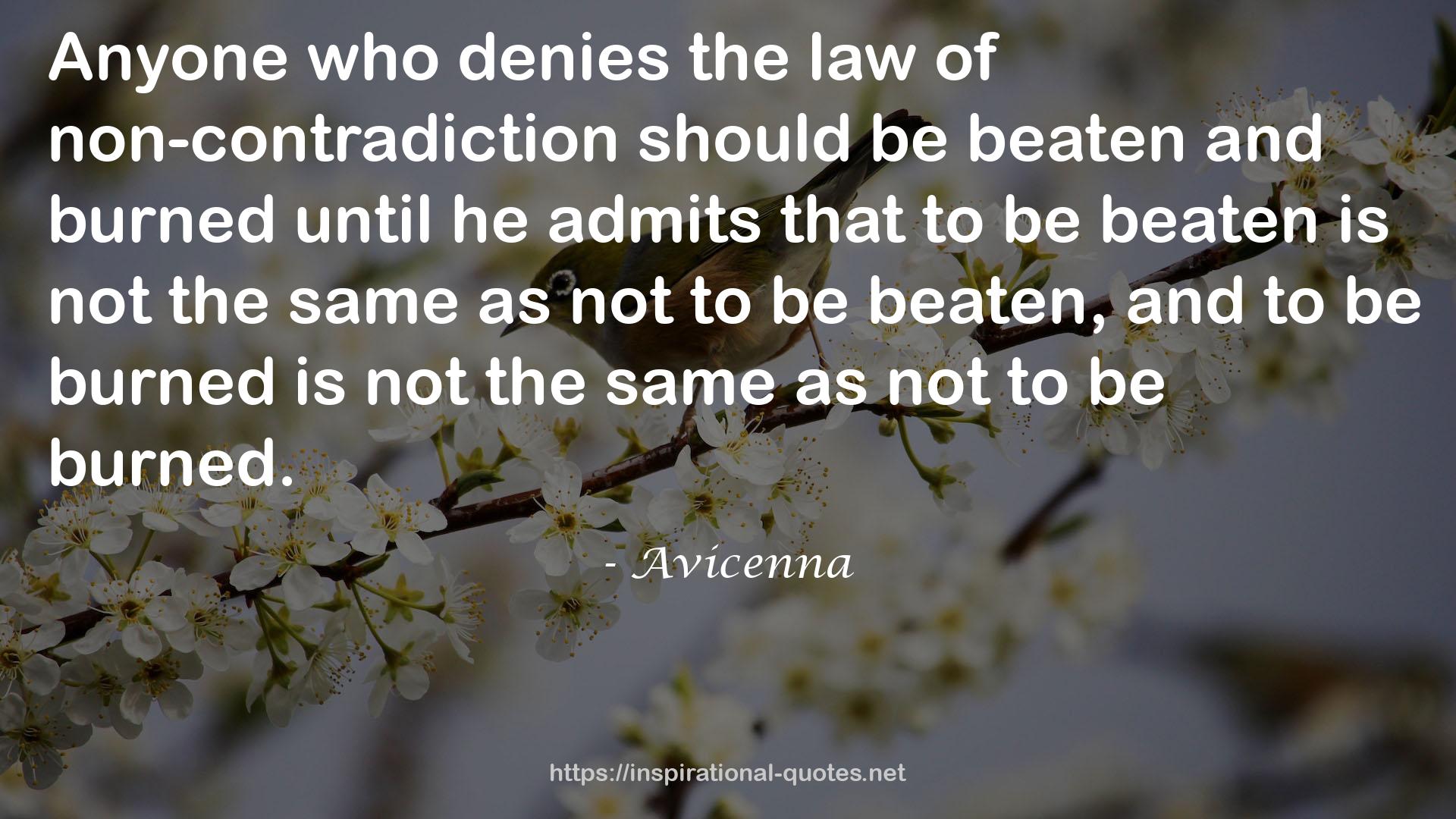 Avicenna QUOTES