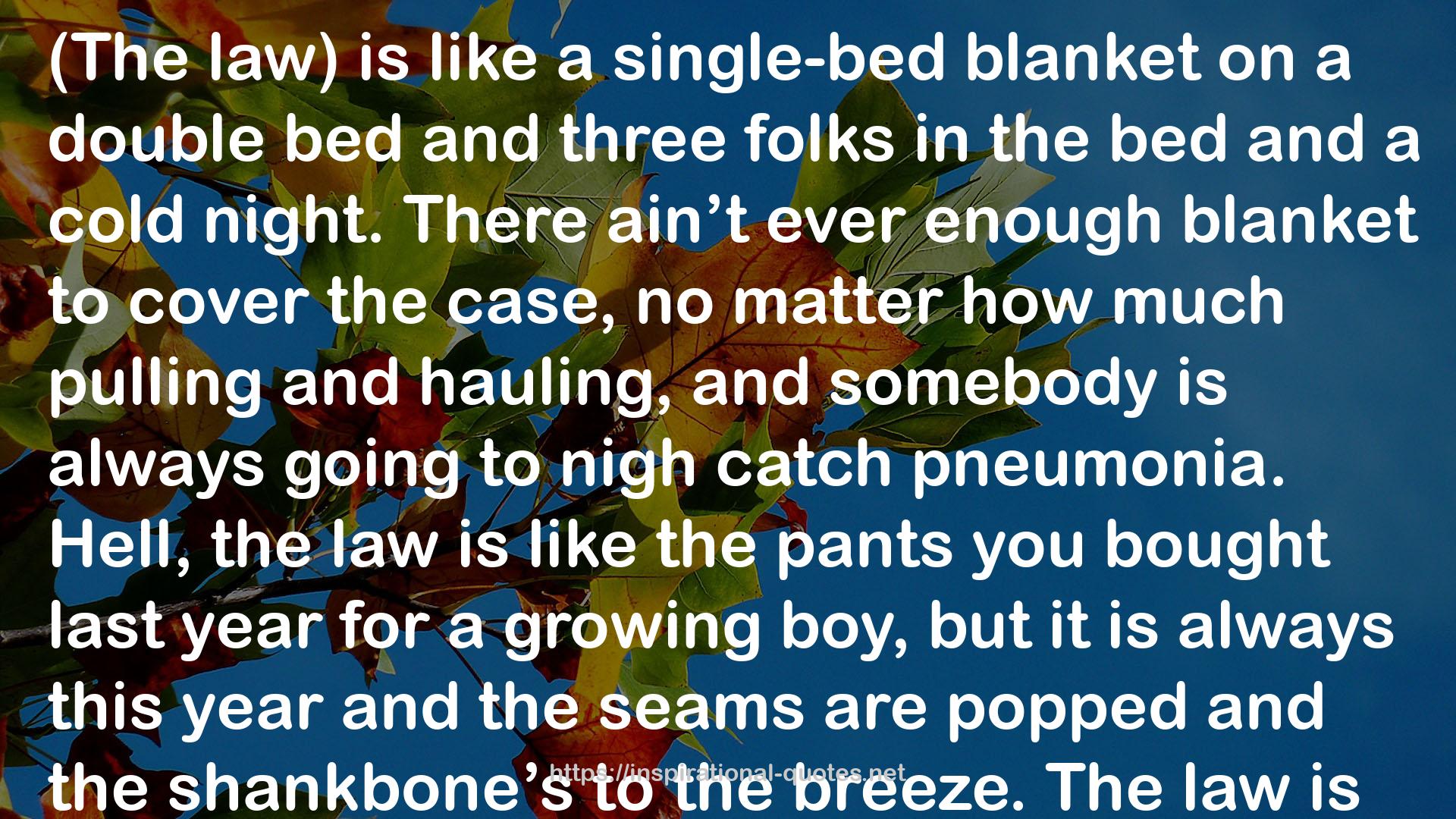 a single-bed blanket  QUOTES