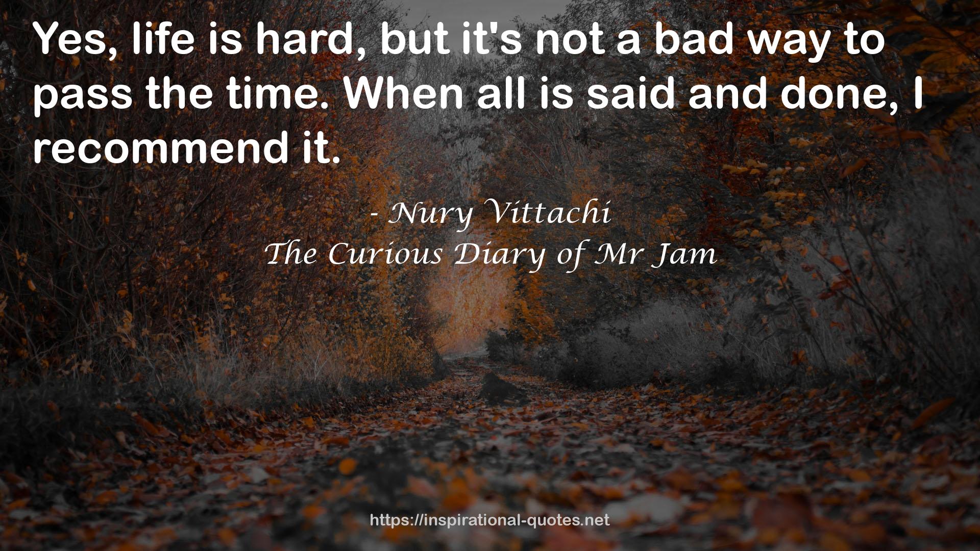 The Curious Diary of Mr Jam QUOTES