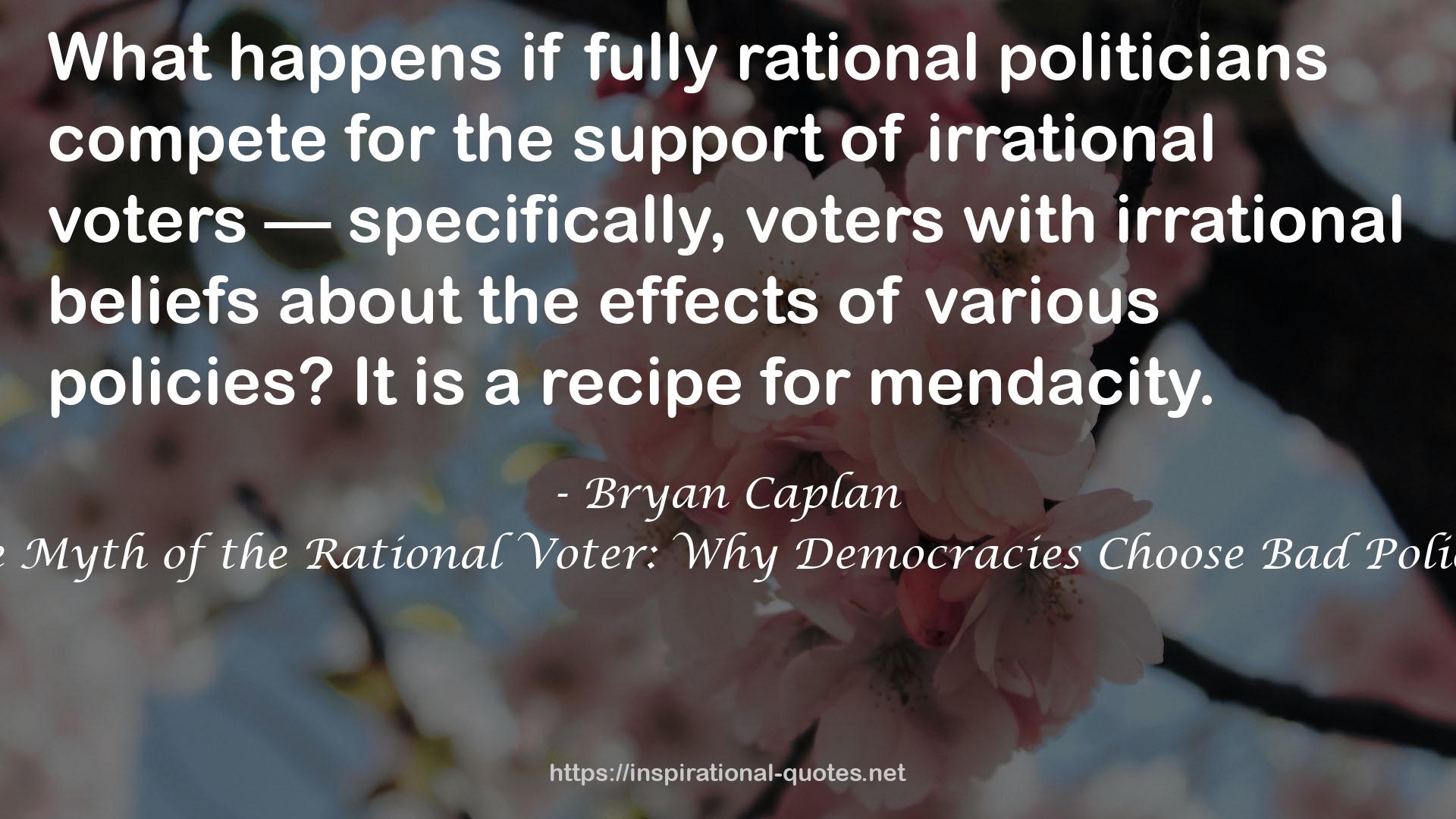 fully rational politicians  QUOTES