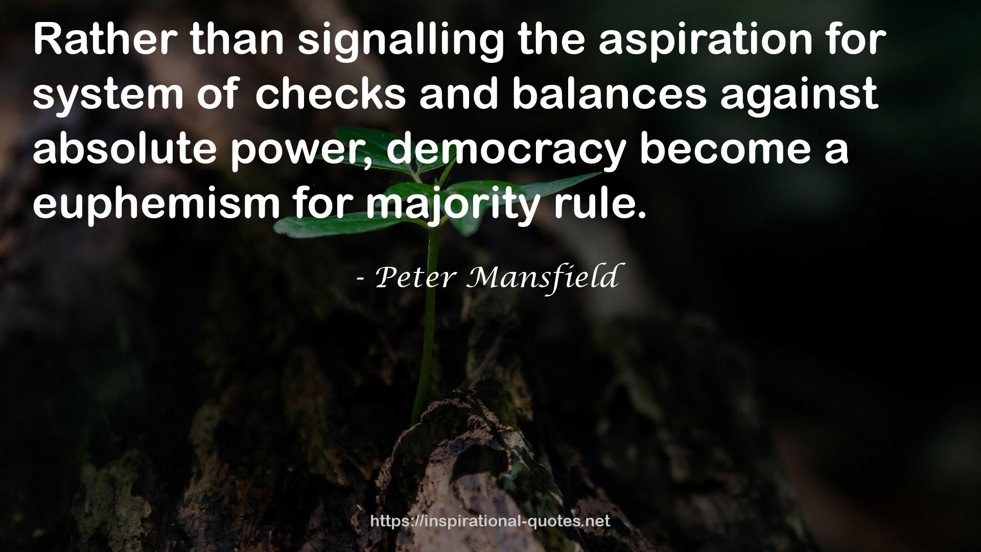 Peter Mansfield QUOTES