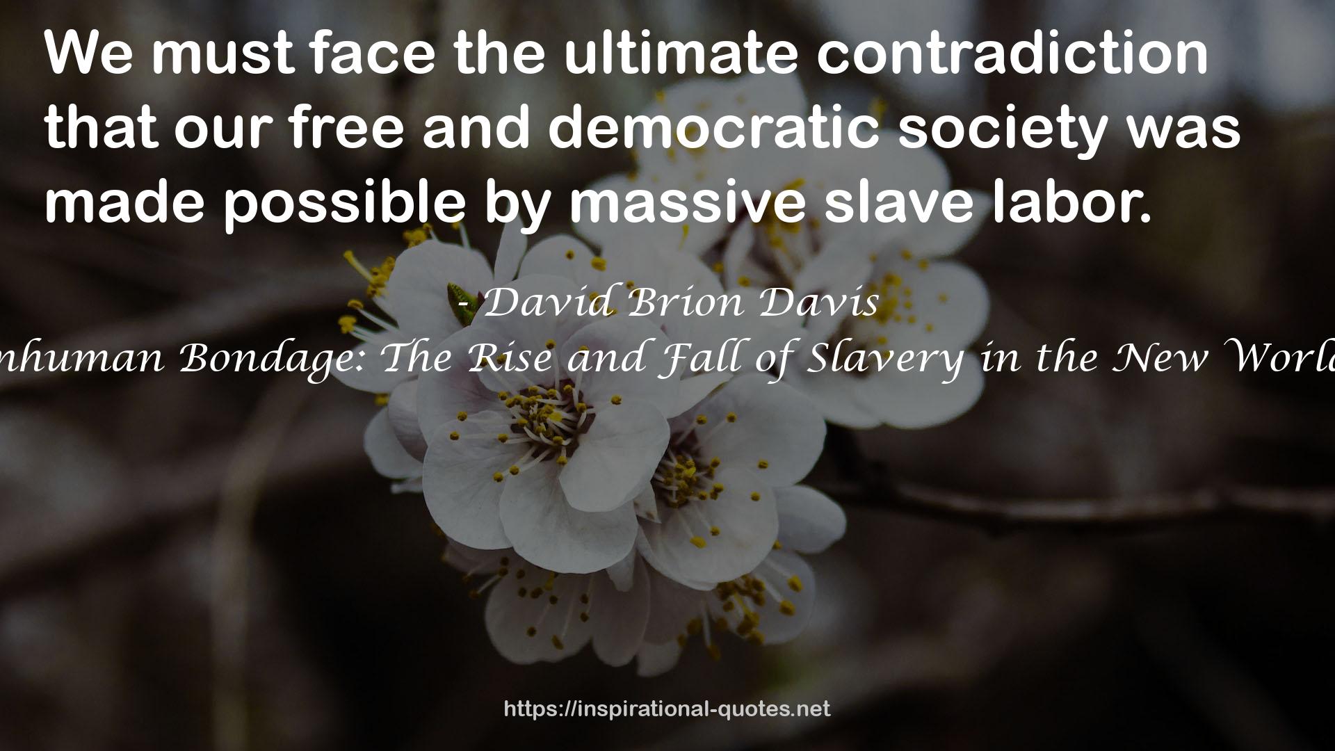 Inhuman Bondage: The Rise and Fall of Slavery in the New World QUOTES