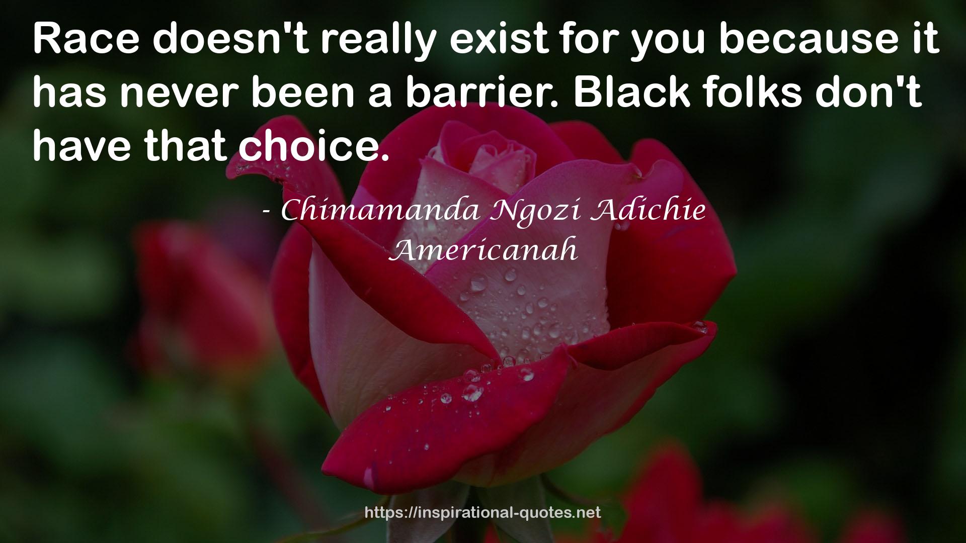 Americanah QUOTES