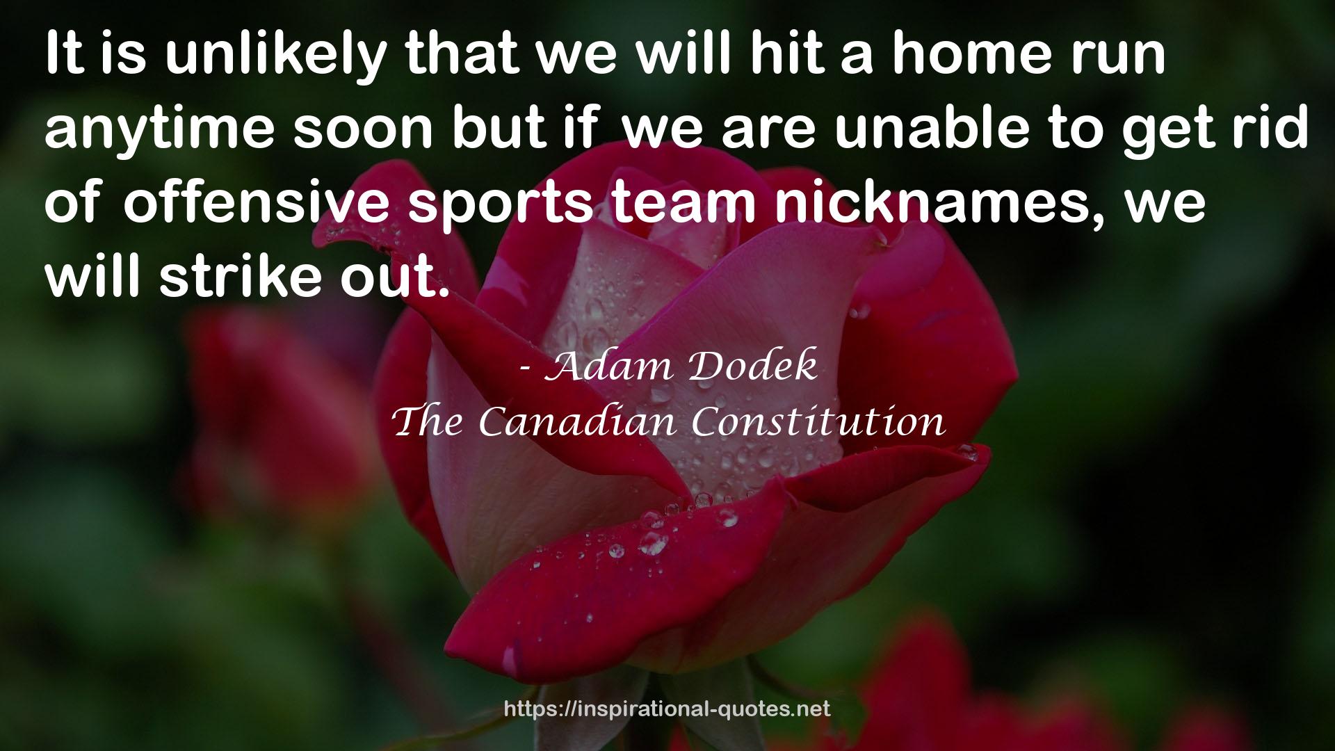 Adam Dodek QUOTES