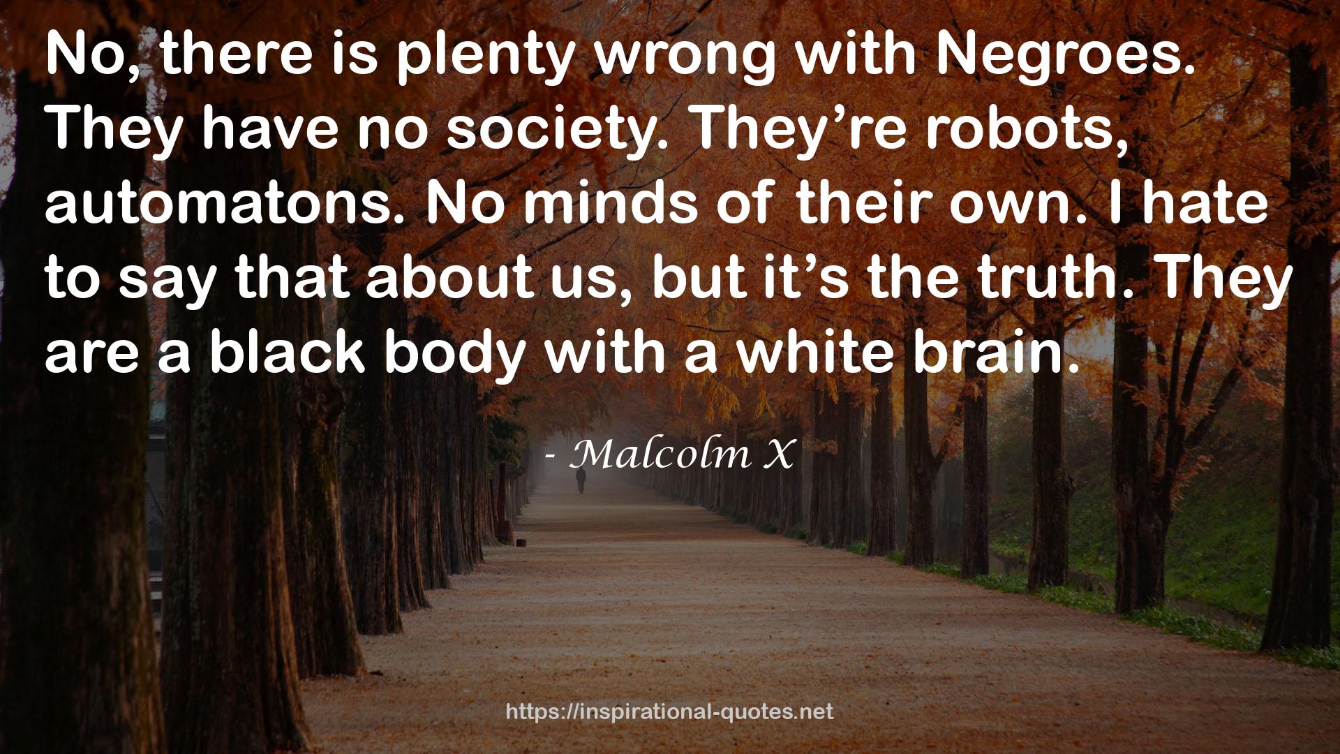 a black body  QUOTES