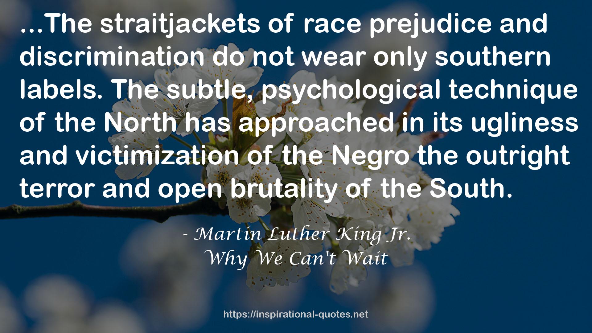 race prejudice  QUOTES